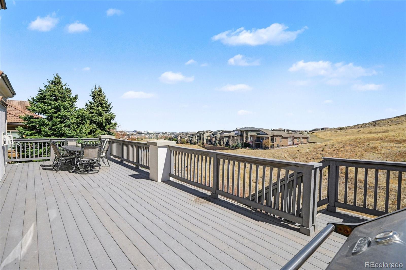 10528 Rivington Court Lone Tree CO 80124