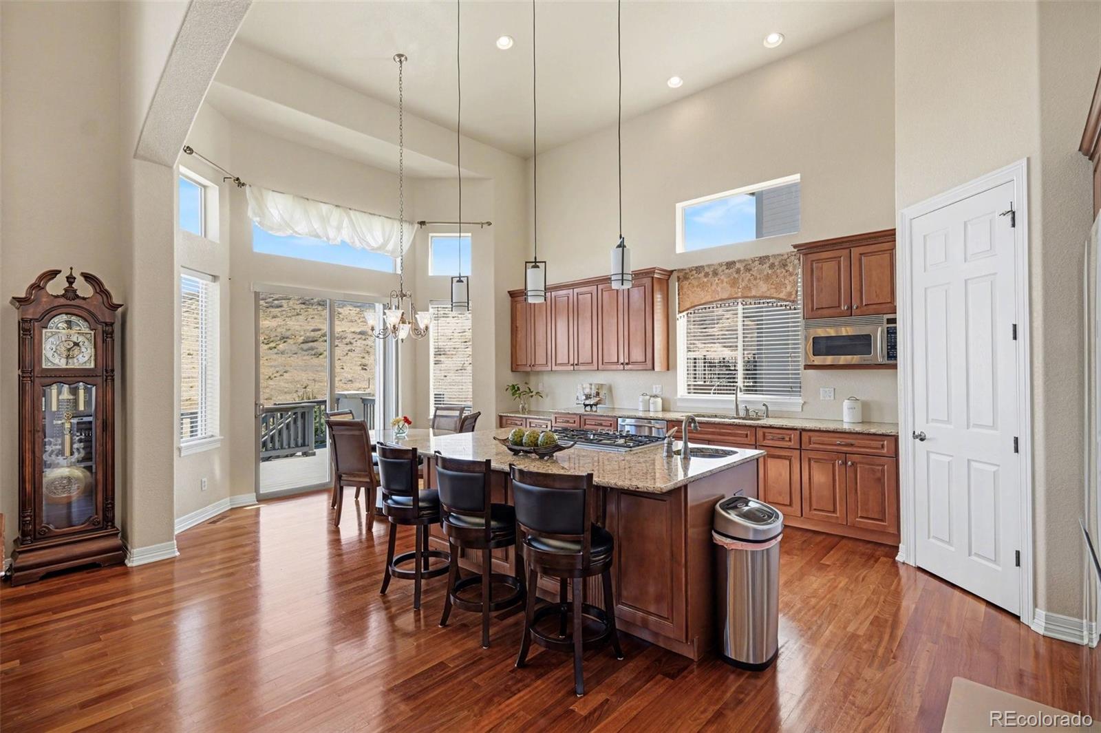10528 Rivington Court Lone Tree CO 80124