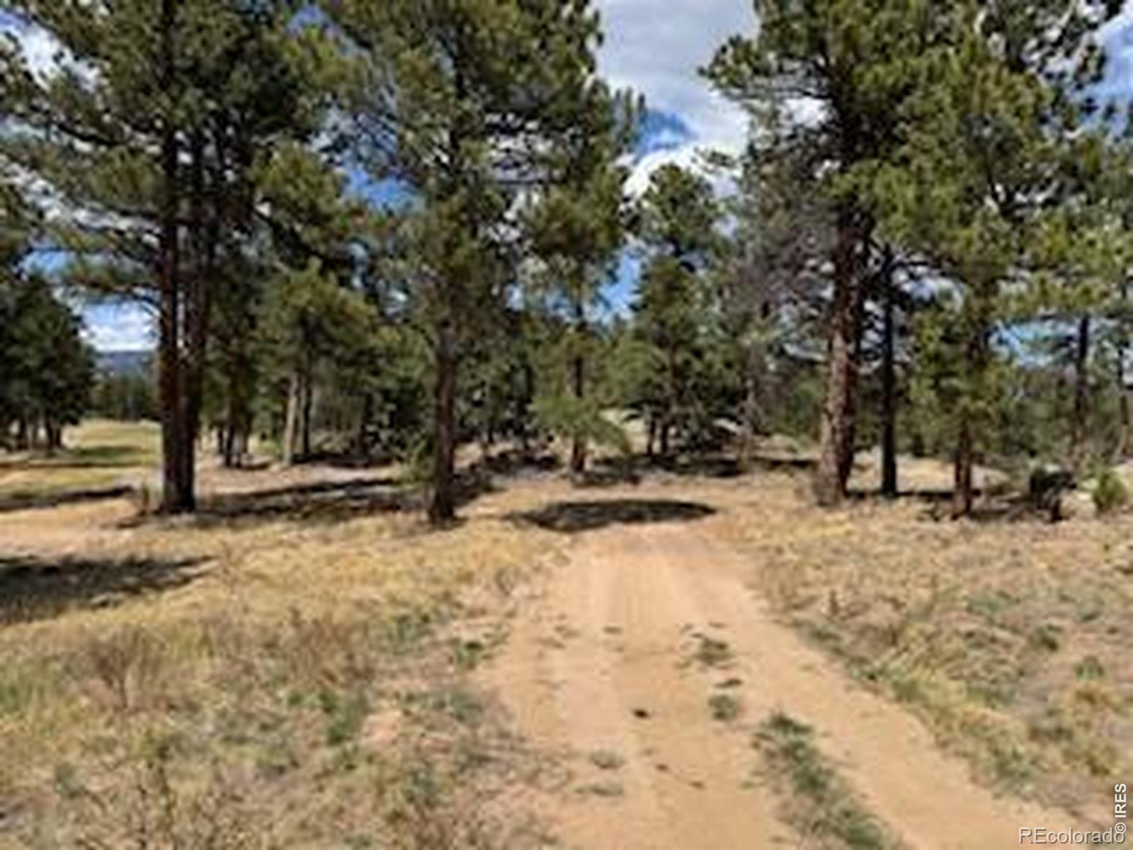 2215 Fox Acres Drive E Red Feather Lakes CO 80545