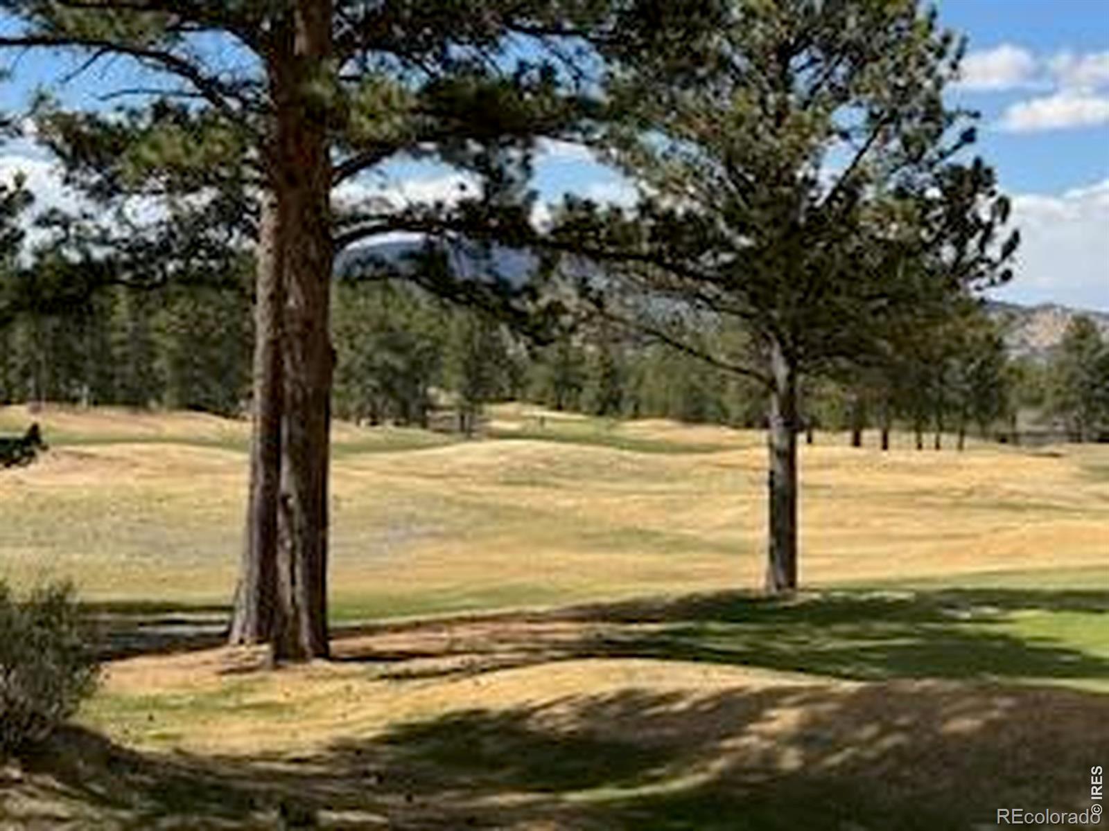 2215 Fox Acres Drive E Red Feather Lakes CO 80545