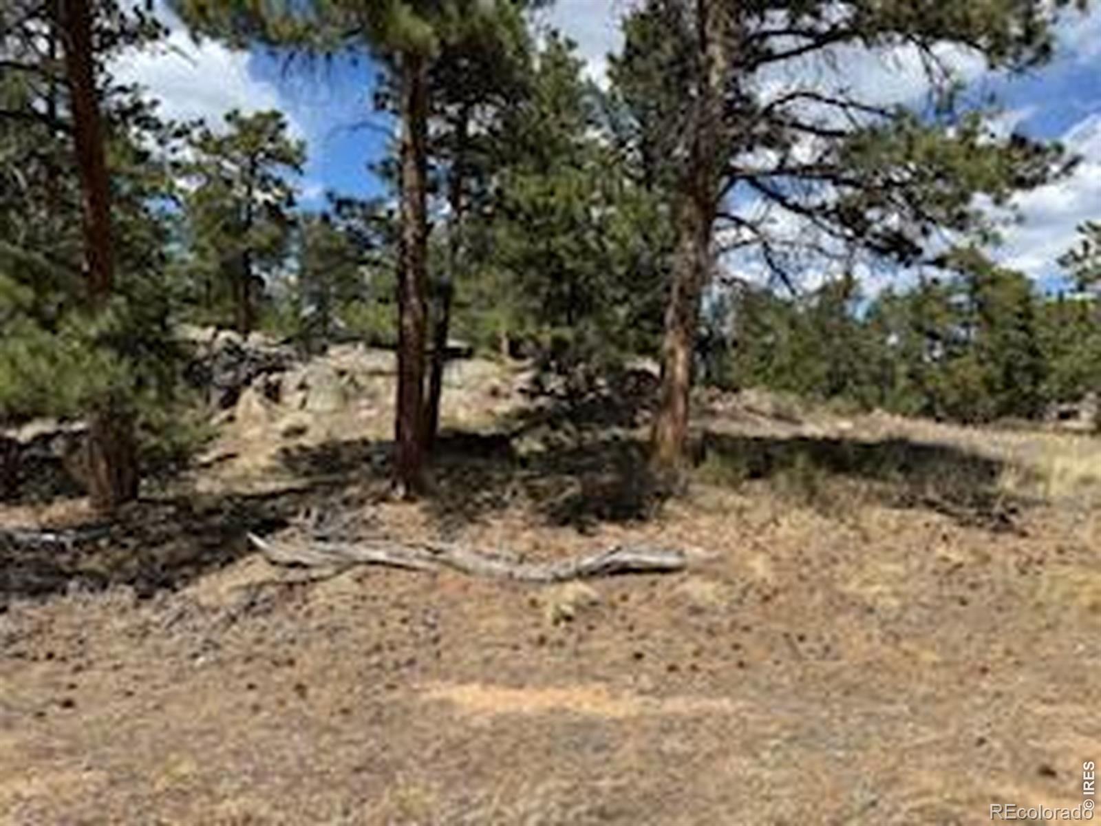 2215 Fox Acres Drive E Red Feather Lakes CO 80545