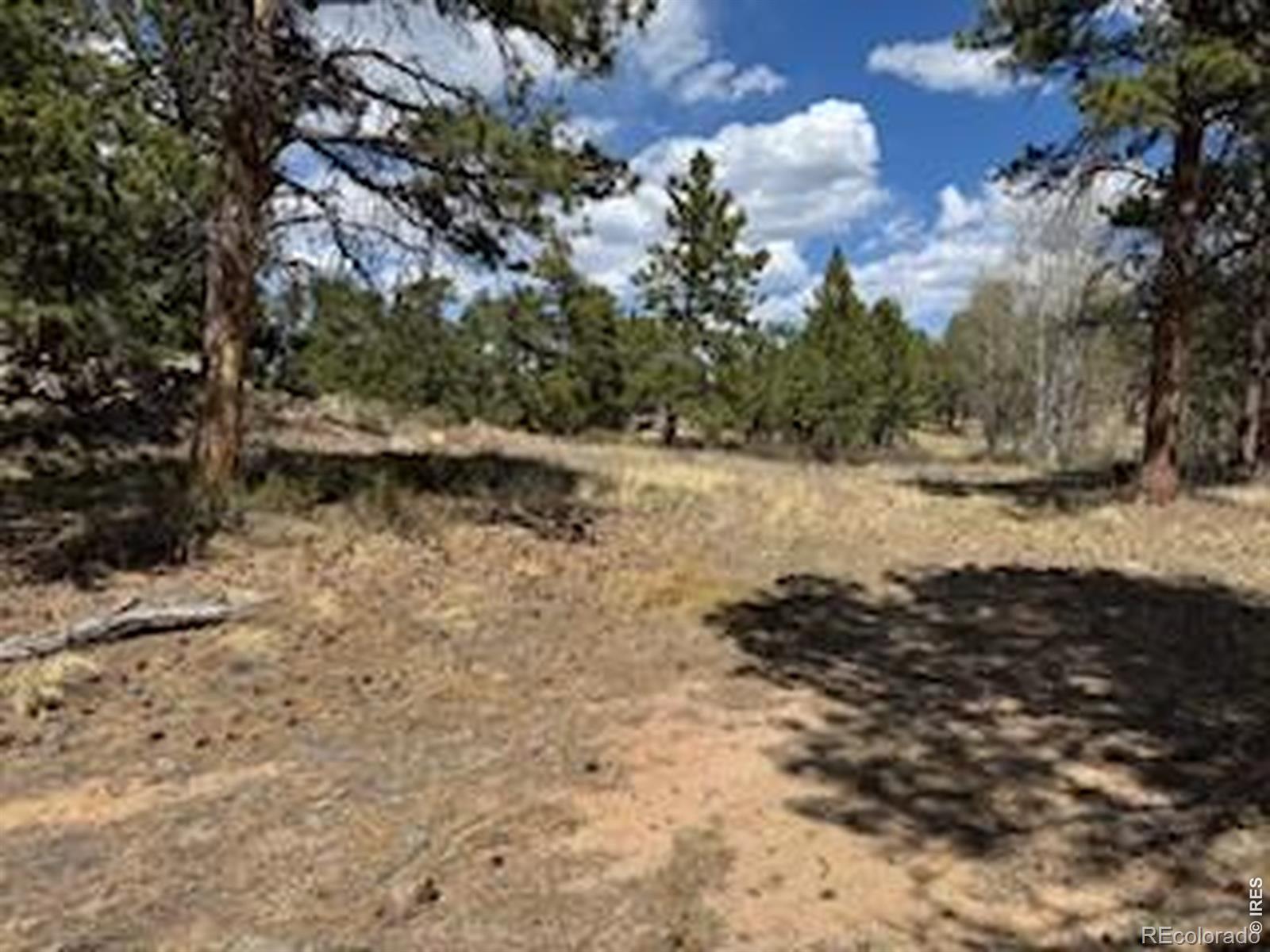 2215 Fox Acres Drive E Red Feather Lakes CO 80545