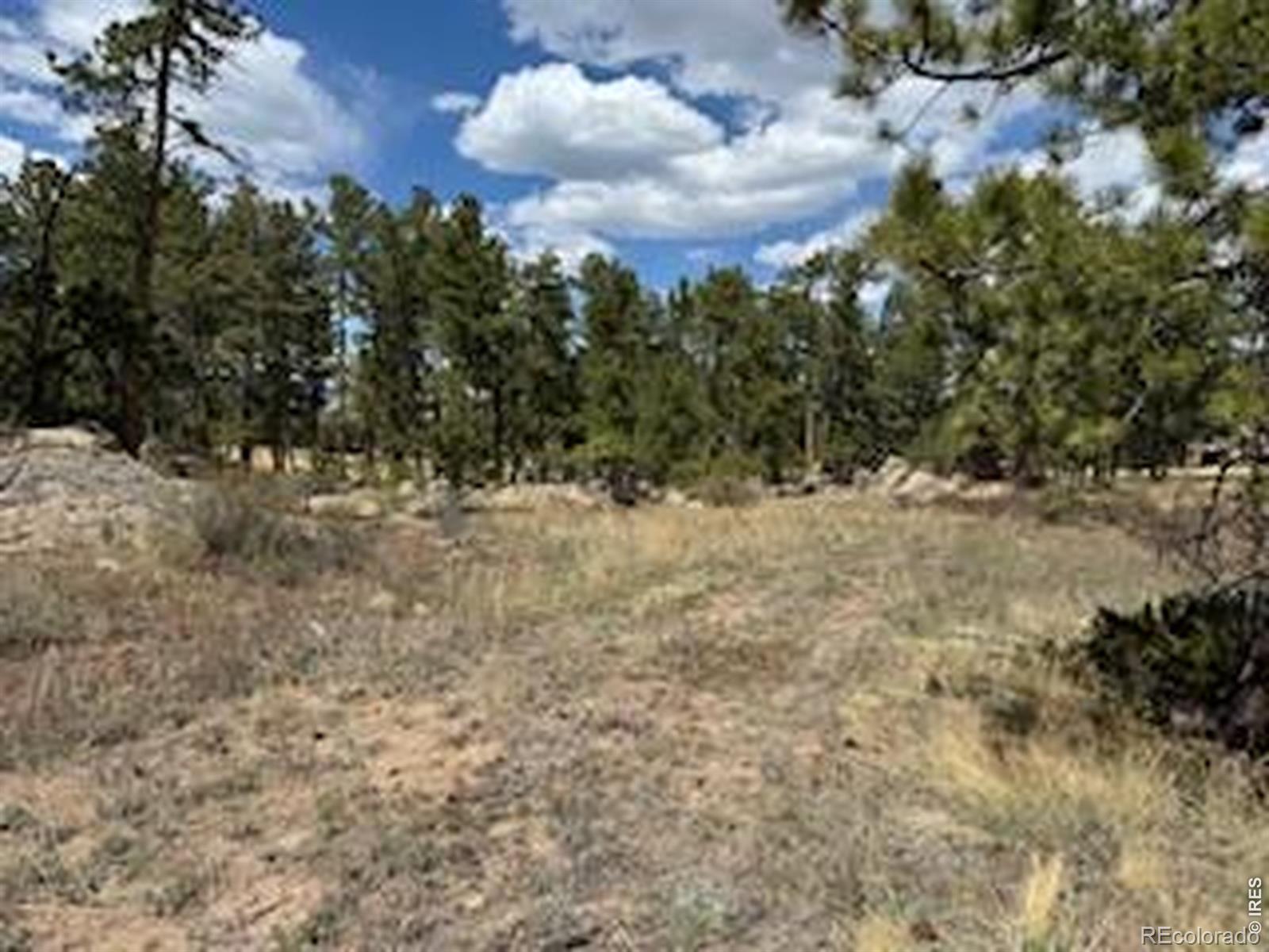2215 Fox Acres Drive E Red Feather Lakes CO 80545