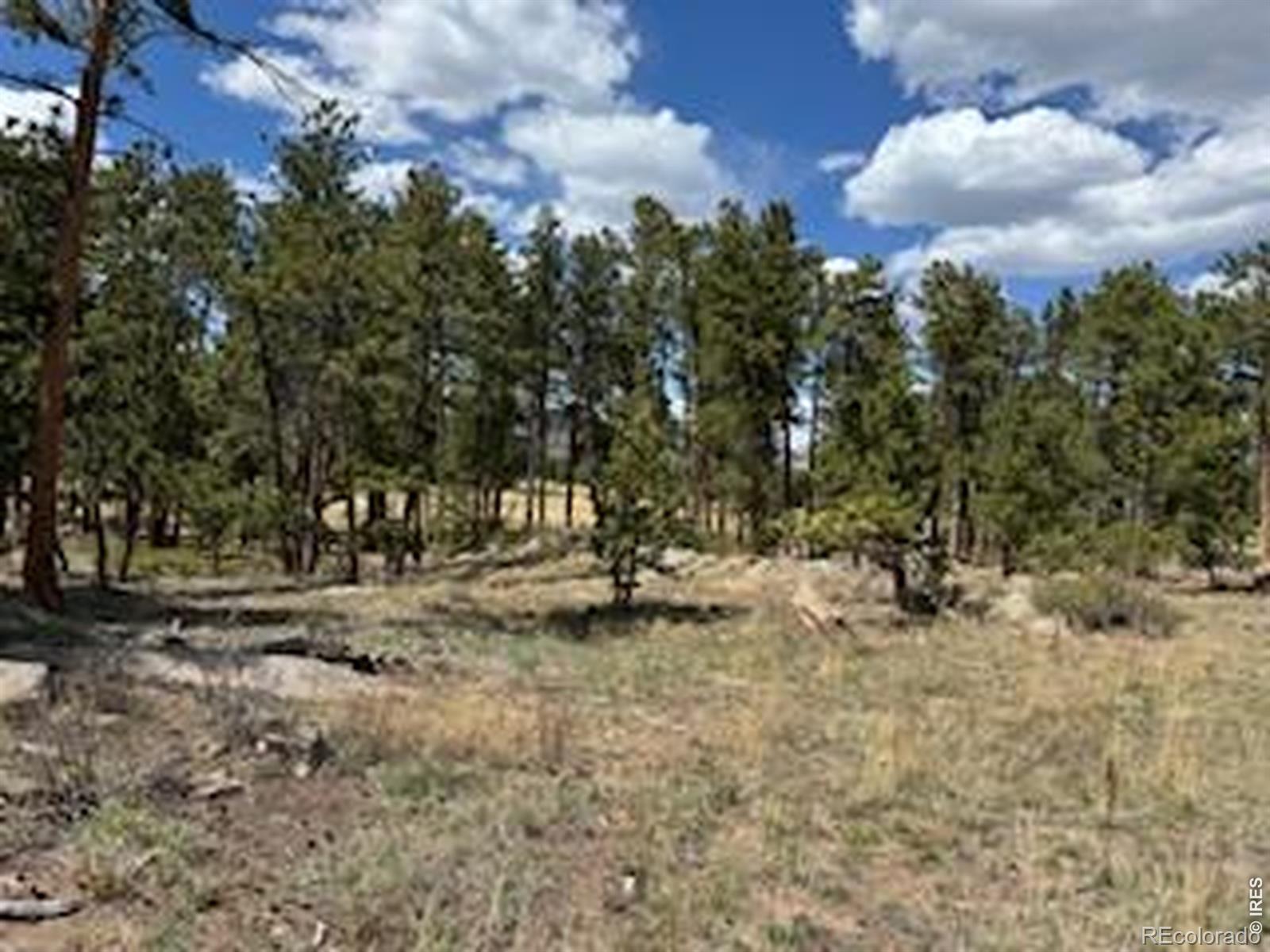 2215 Fox Acres Drive E Red Feather Lakes CO 80545