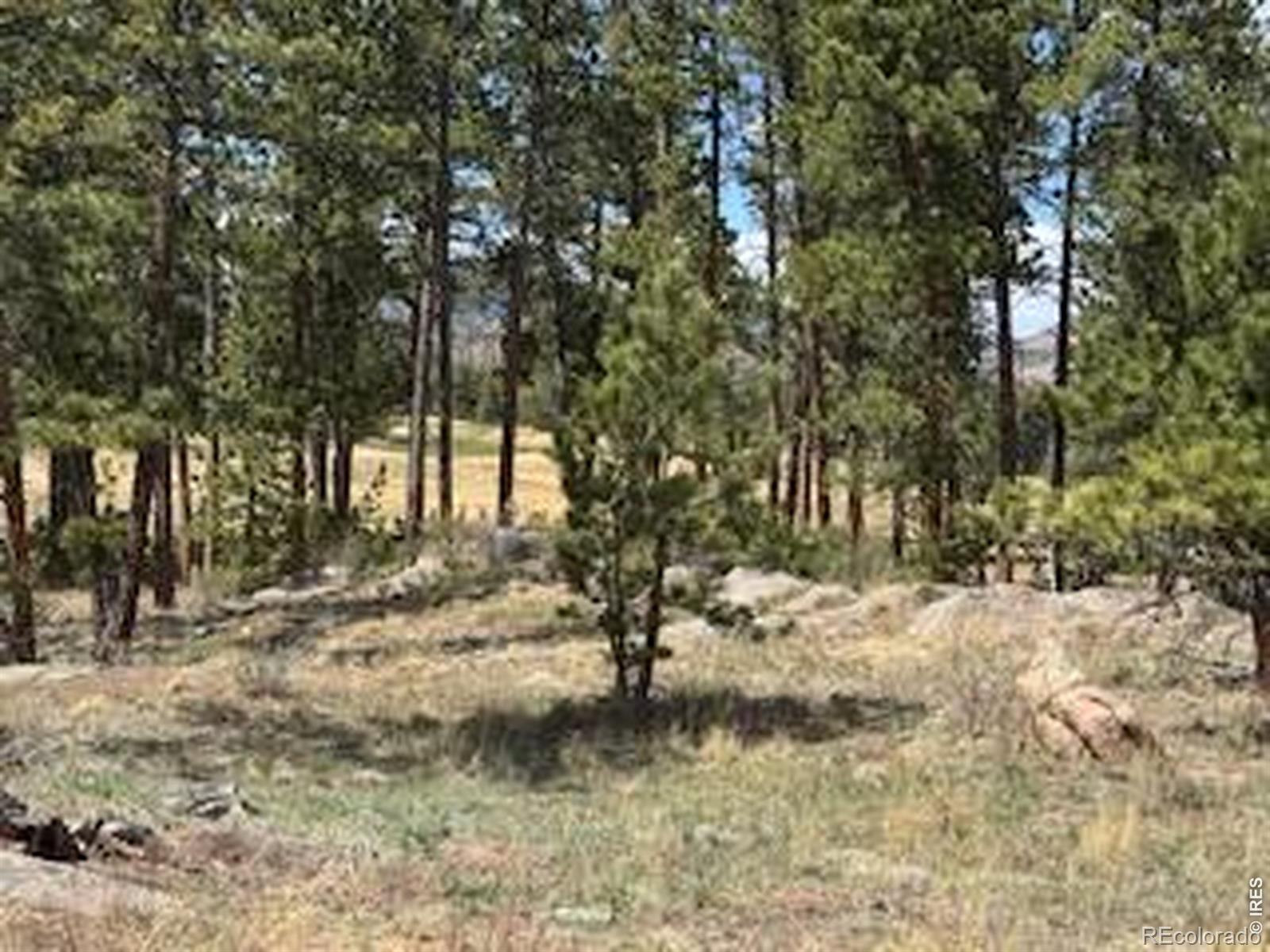 2215 Fox Acres Drive E Red Feather Lakes CO 80545