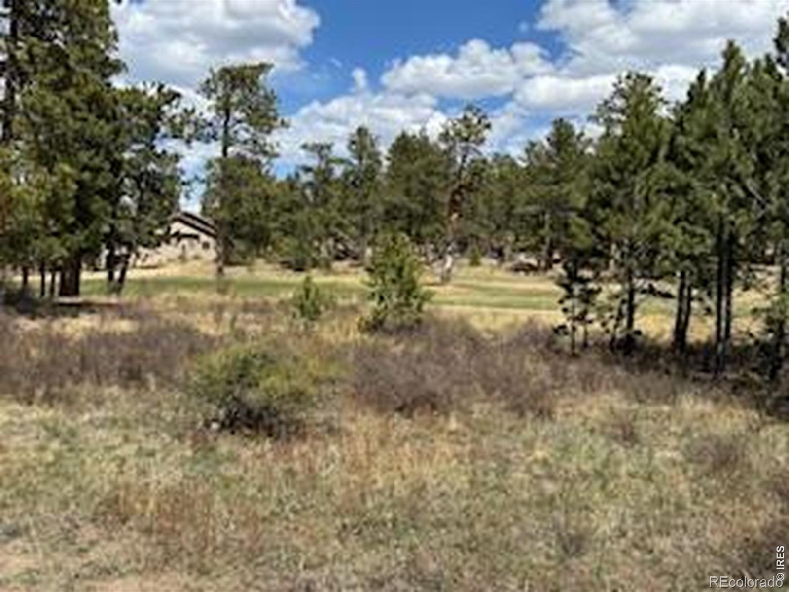 2215 Fox Acres Drive E Red Feather Lakes CO 80545