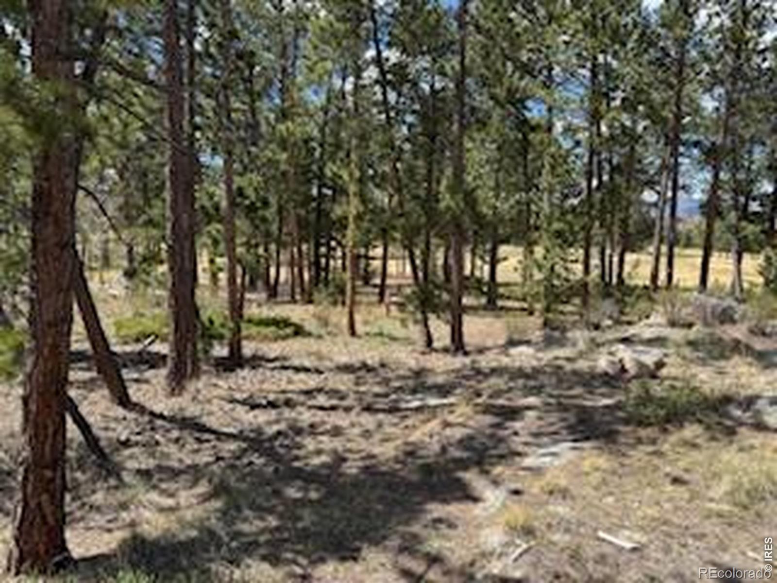 2215 Fox Acres Drive E Red Feather Lakes CO 80545