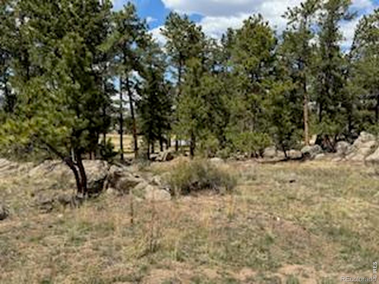 2215 Fox Acres Drive E Red Feather Lakes CO 80545