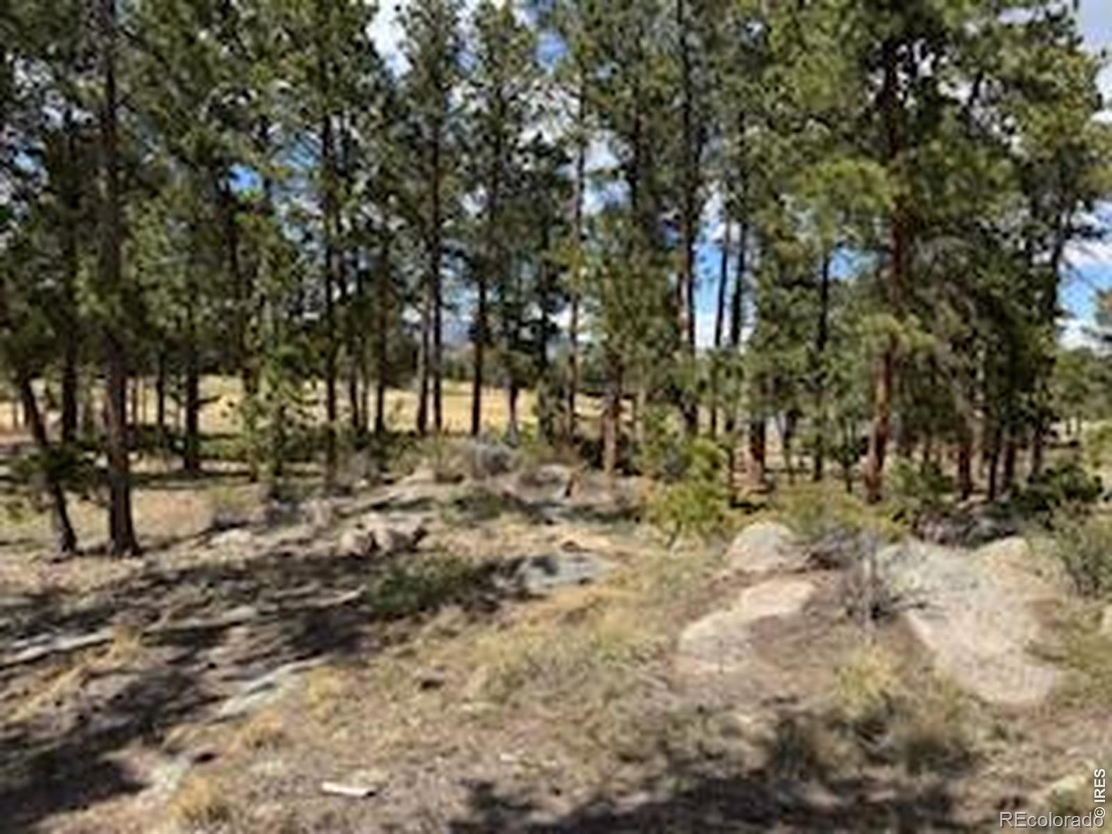 2215 Fox Acres Drive E Red Feather Lakes CO 80545