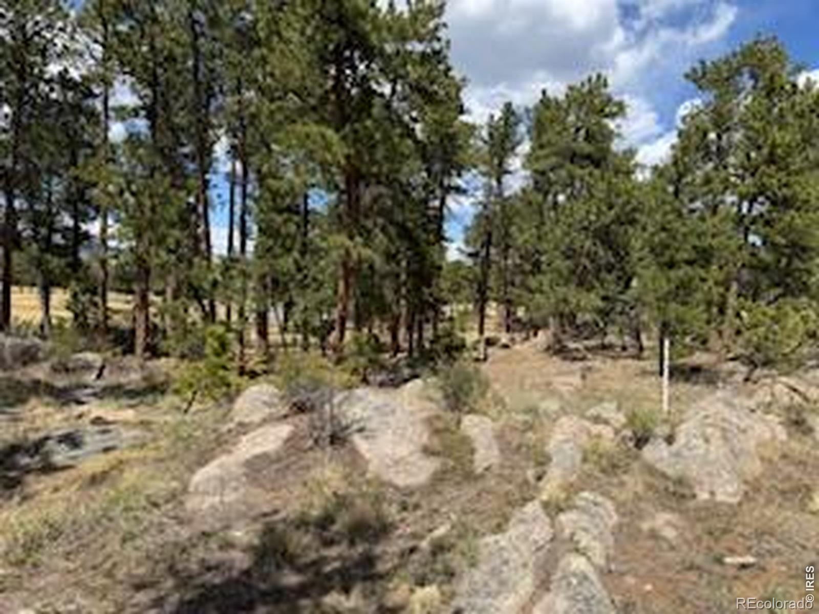 2215 Fox Acres Drive E Red Feather Lakes CO 80545