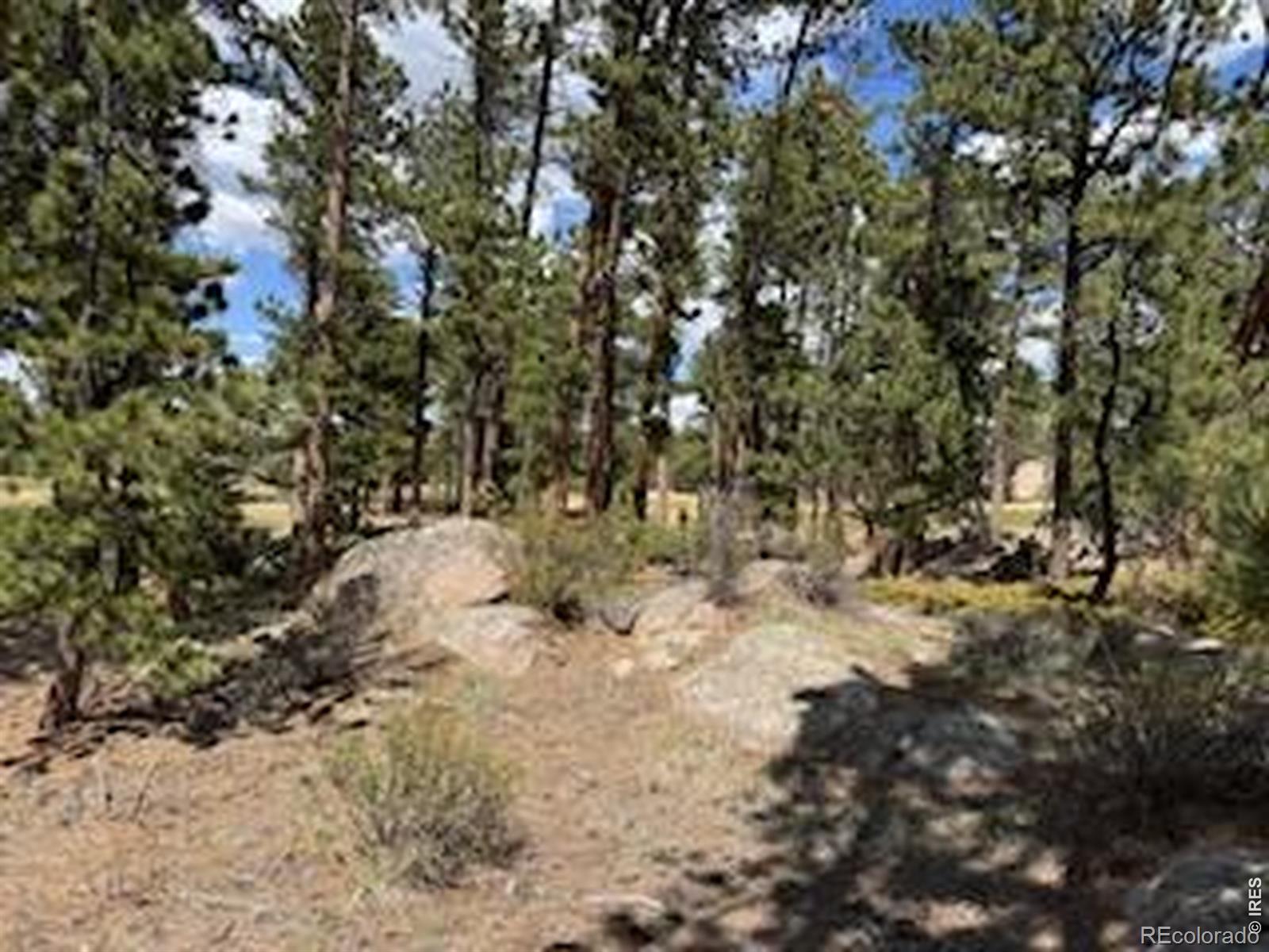 2215 Fox Acres Drive E Red Feather Lakes CO 80545