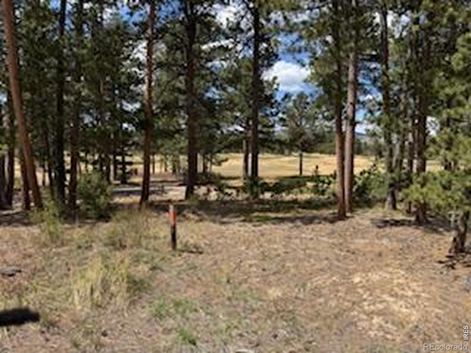 2215 Fox Acres Drive E Red Feather Lakes CO 80545