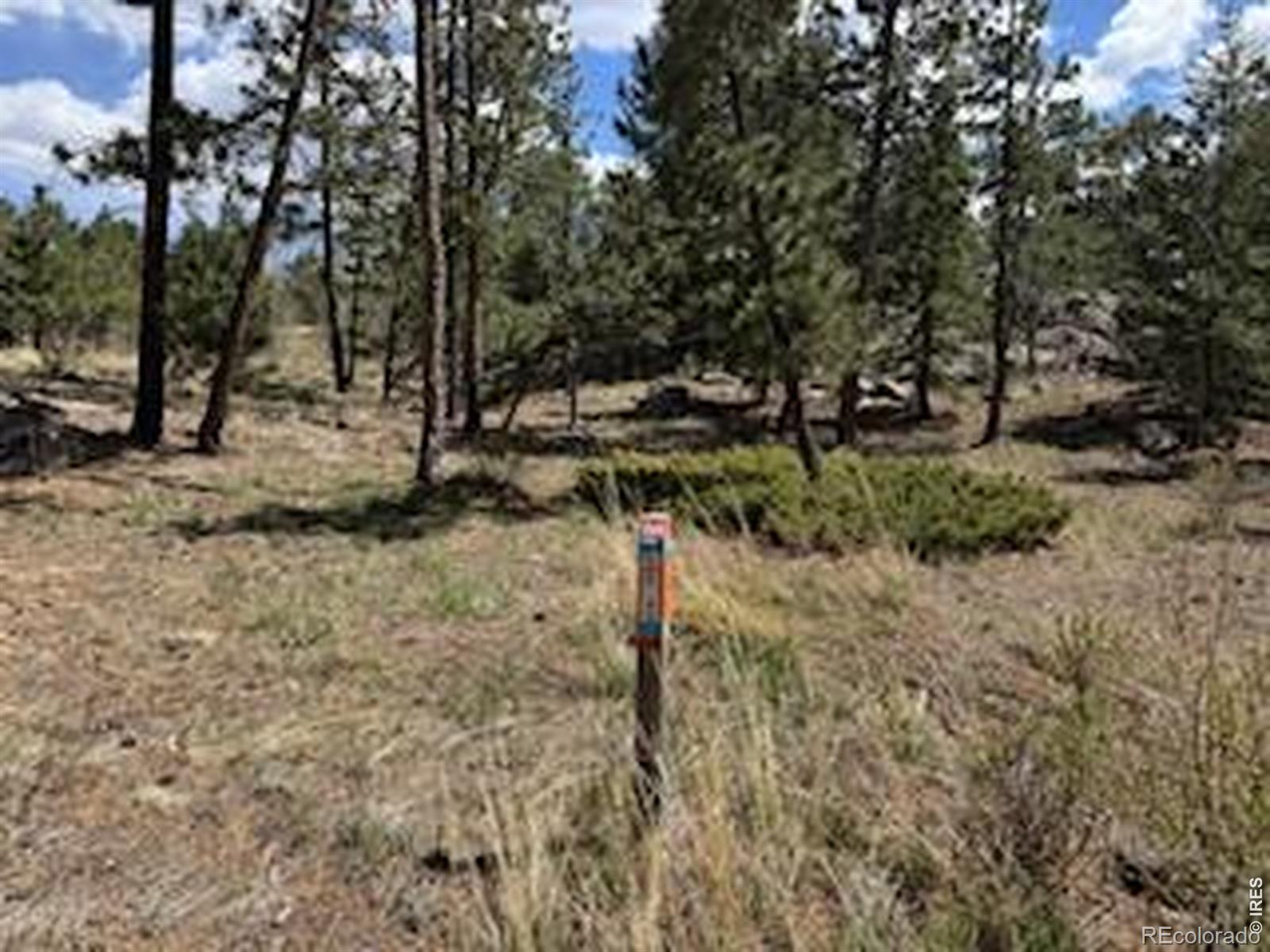 2215 Fox Acres Drive E Red Feather Lakes CO 80545