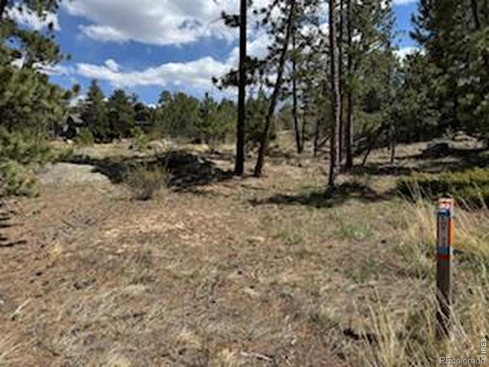 2215 Fox Acres Drive E Red Feather Lakes CO 80545