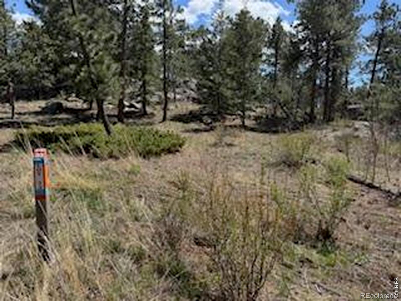 2215 Fox Acres Drive E Red Feather Lakes CO 80545