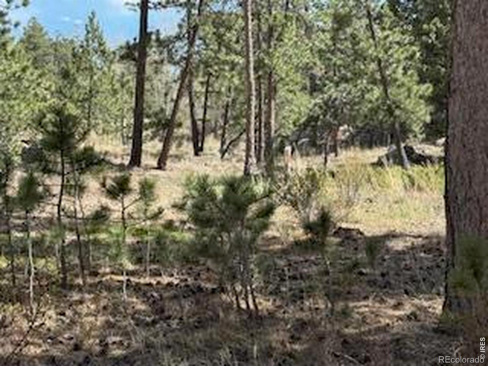 2215 Fox Acres Drive E Red Feather Lakes CO 80545