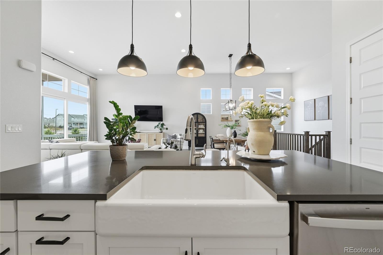 3208 Carabiner Street Castle Rock CO 80108