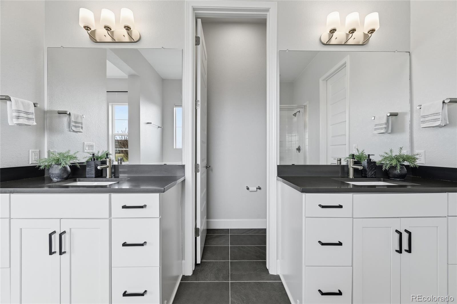 3208 Carabiner Street Castle Rock CO 80108