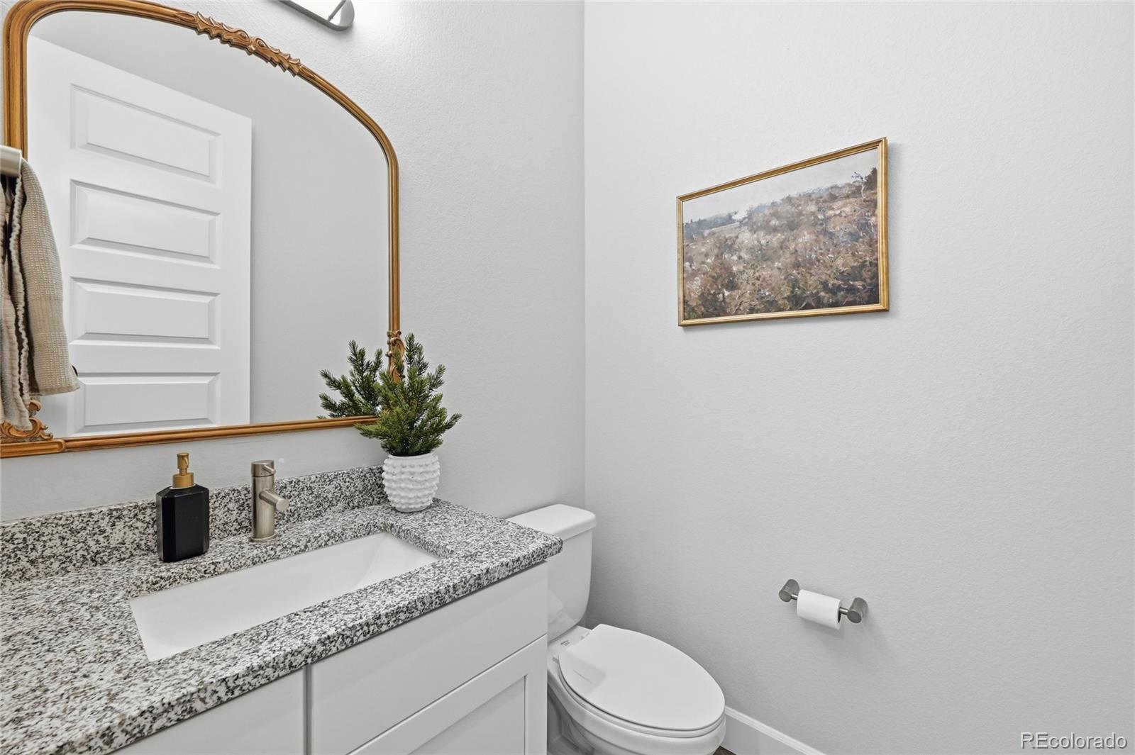 3208 Carabiner Street Castle Rock CO 80108