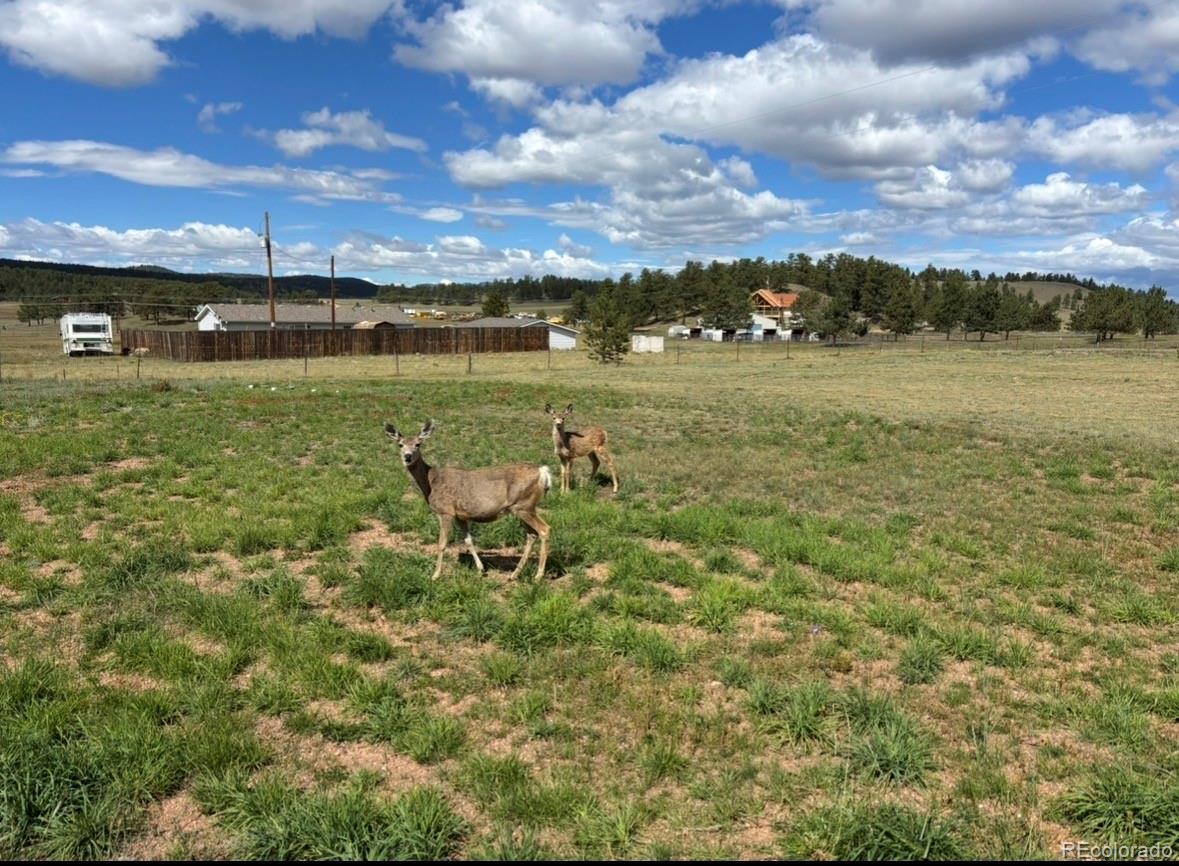 489 Duesouth Road Florissant CO 80816