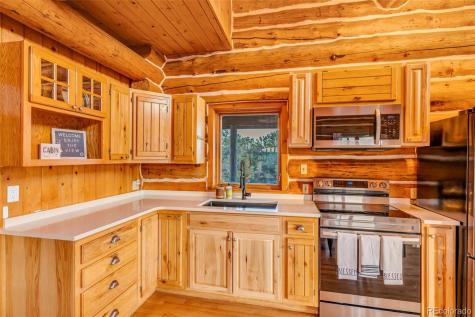 875 Sunrise Ridge Cotopaxi CO 81223