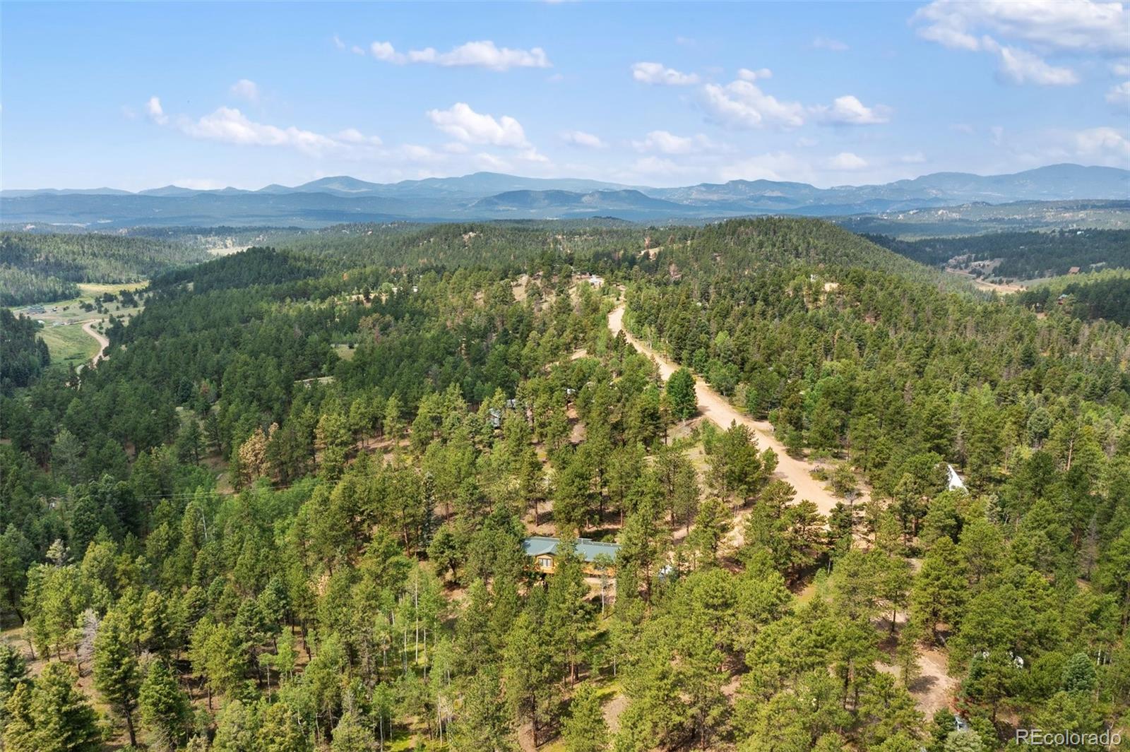 534 Poncha Creek Trail Florissant CO 80816