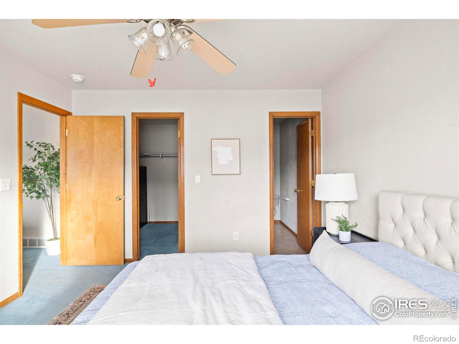 1372 Lavender Court Loveland CO 80537