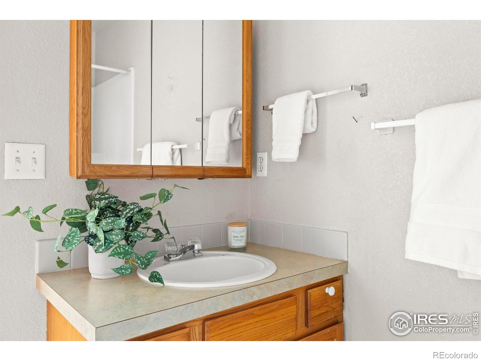 1372 Lavender Court Loveland CO 80537