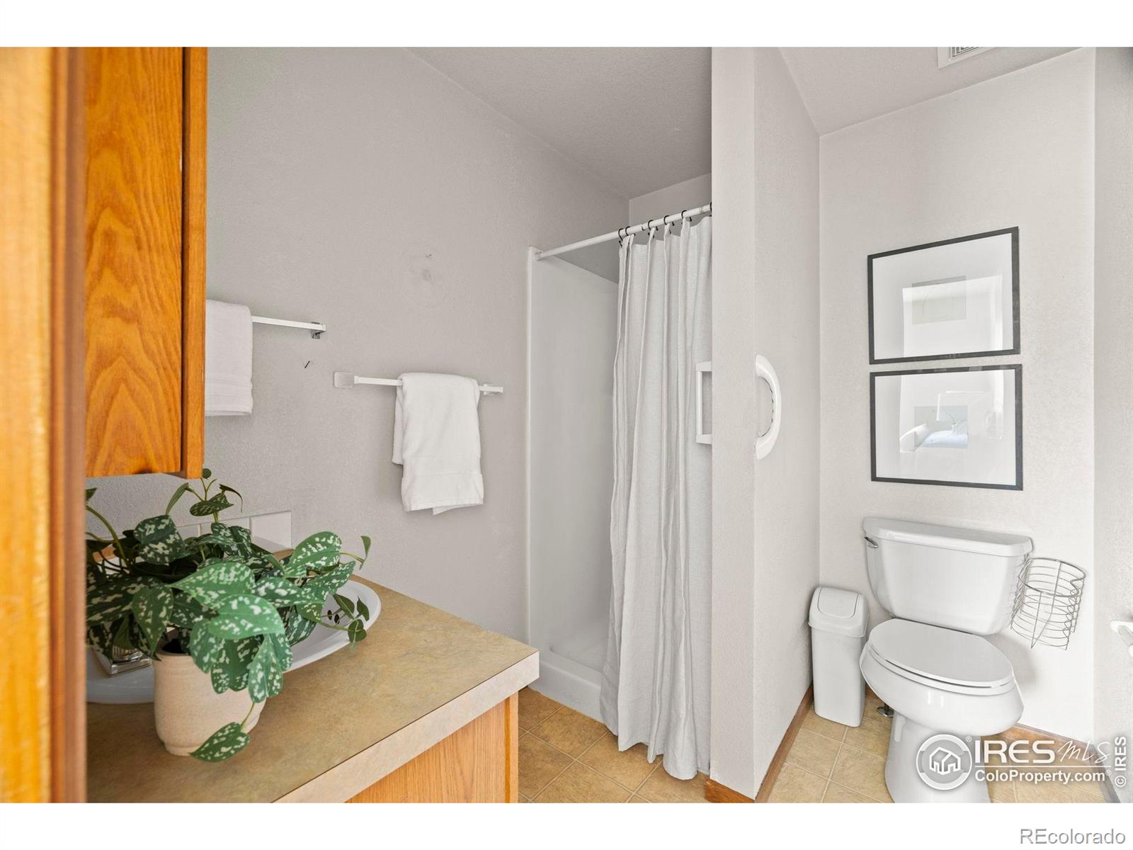 1372 Lavender Court Loveland CO 80537