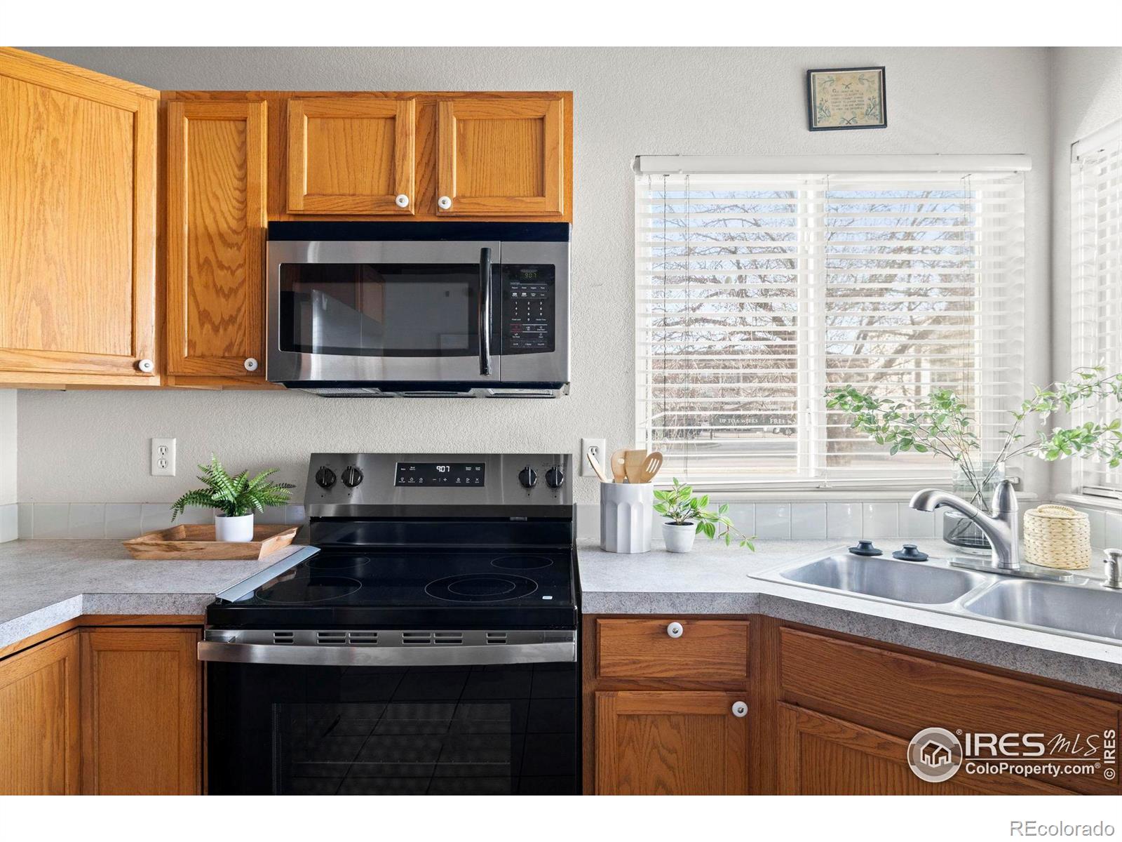 1372 Lavender Court Loveland CO 80537