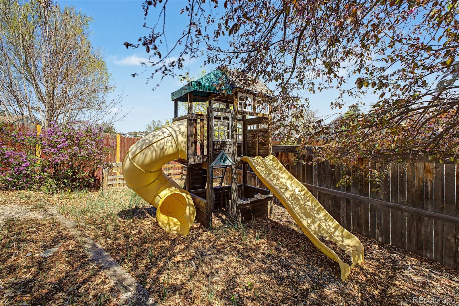 642 Howe Circle Castle Rock CO 80104