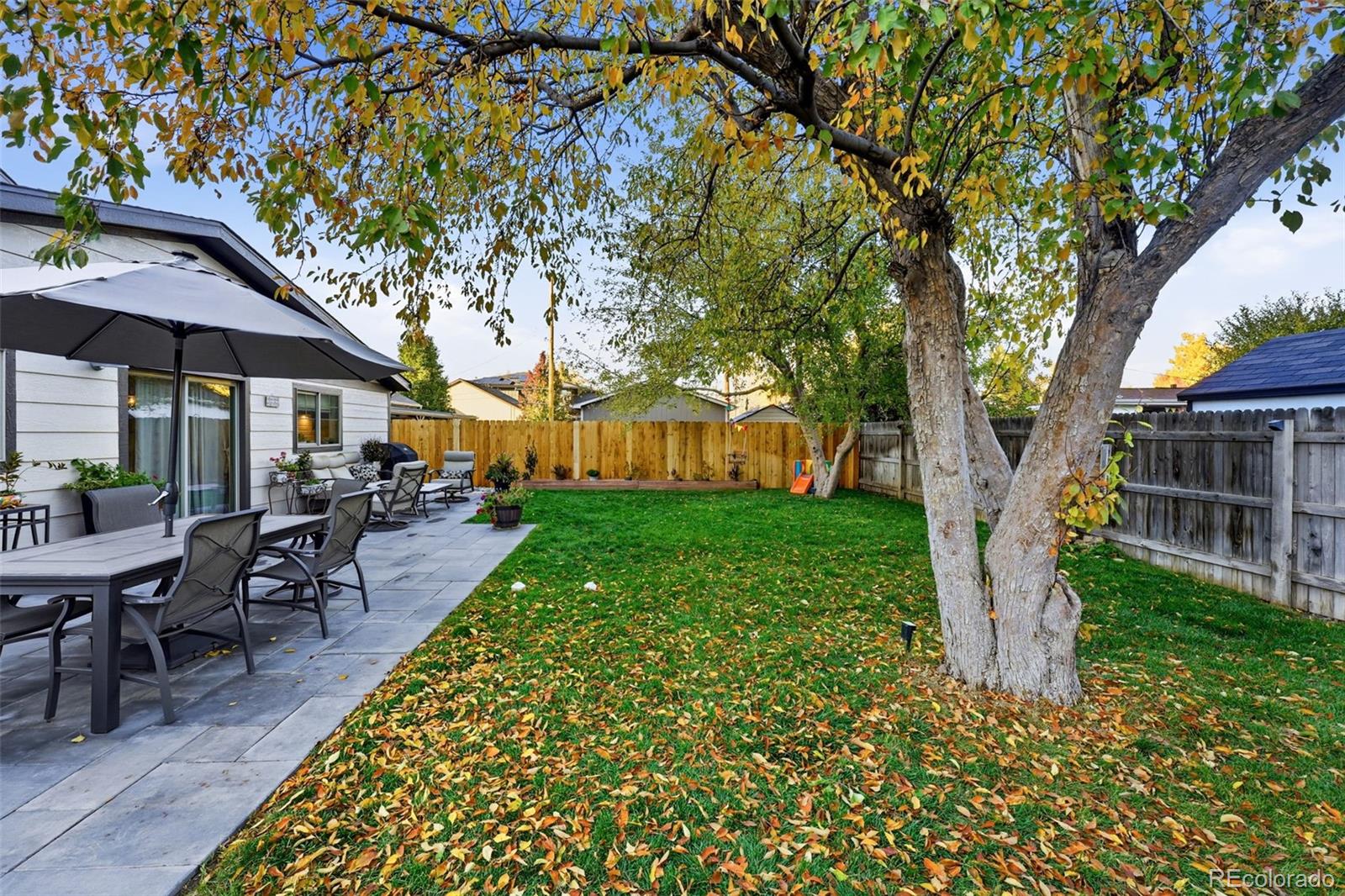 980 Elm Street Denver CO 80220