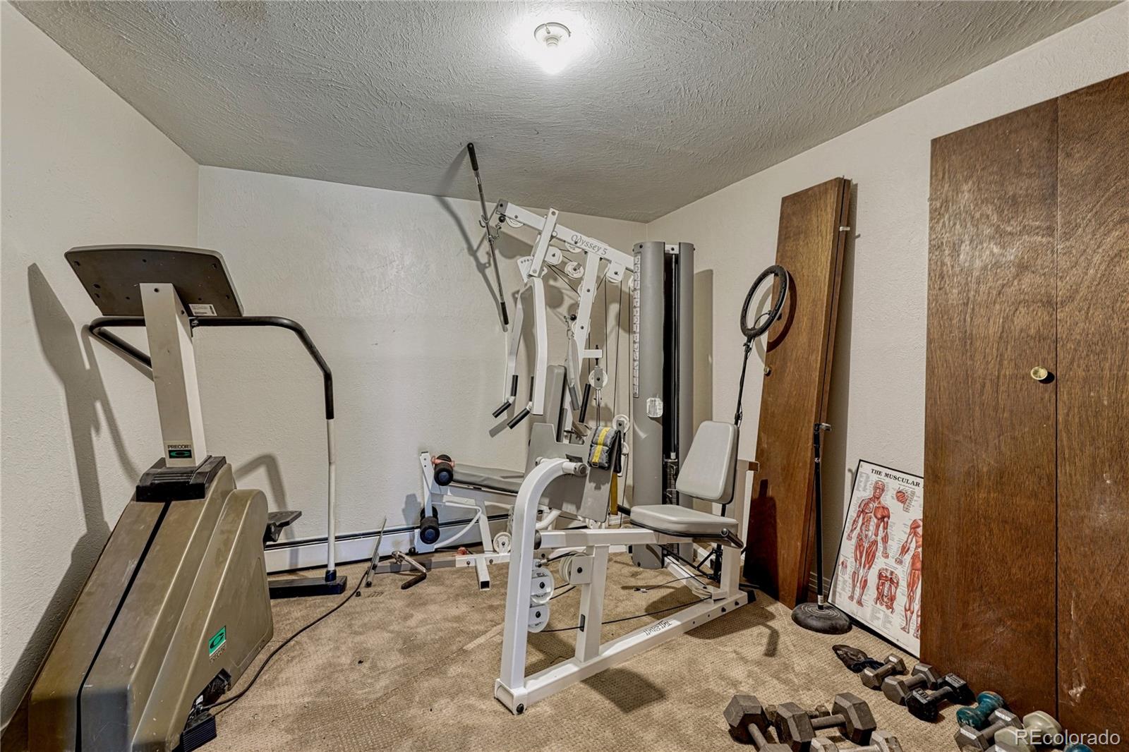 6541 Alpine. Drive Parker CO 80134