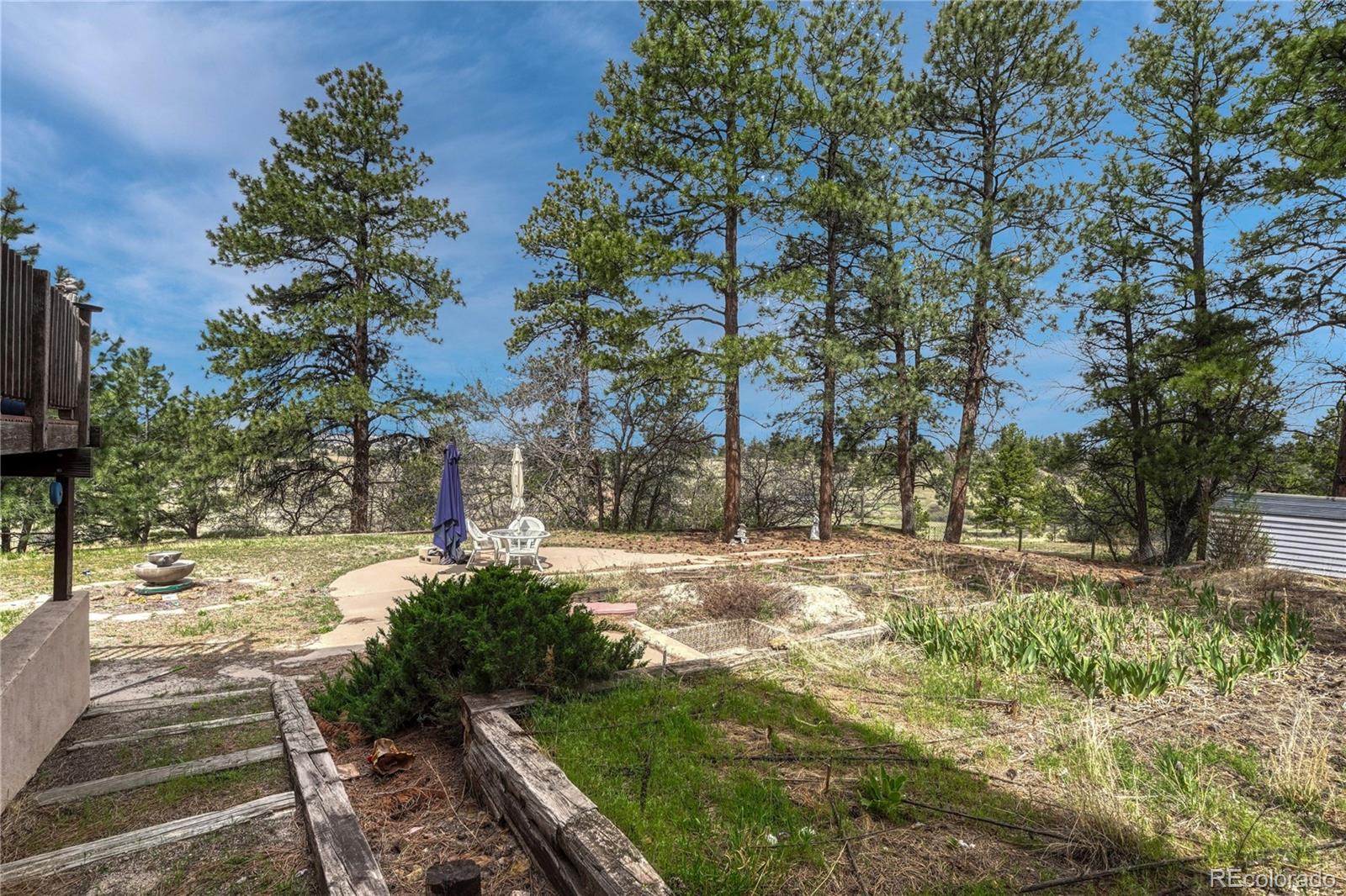 6541 Alpine. Drive Parker CO 80134