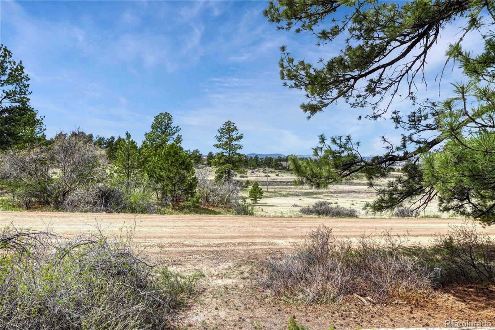6541 Alpine. Drive Parker CO 80134