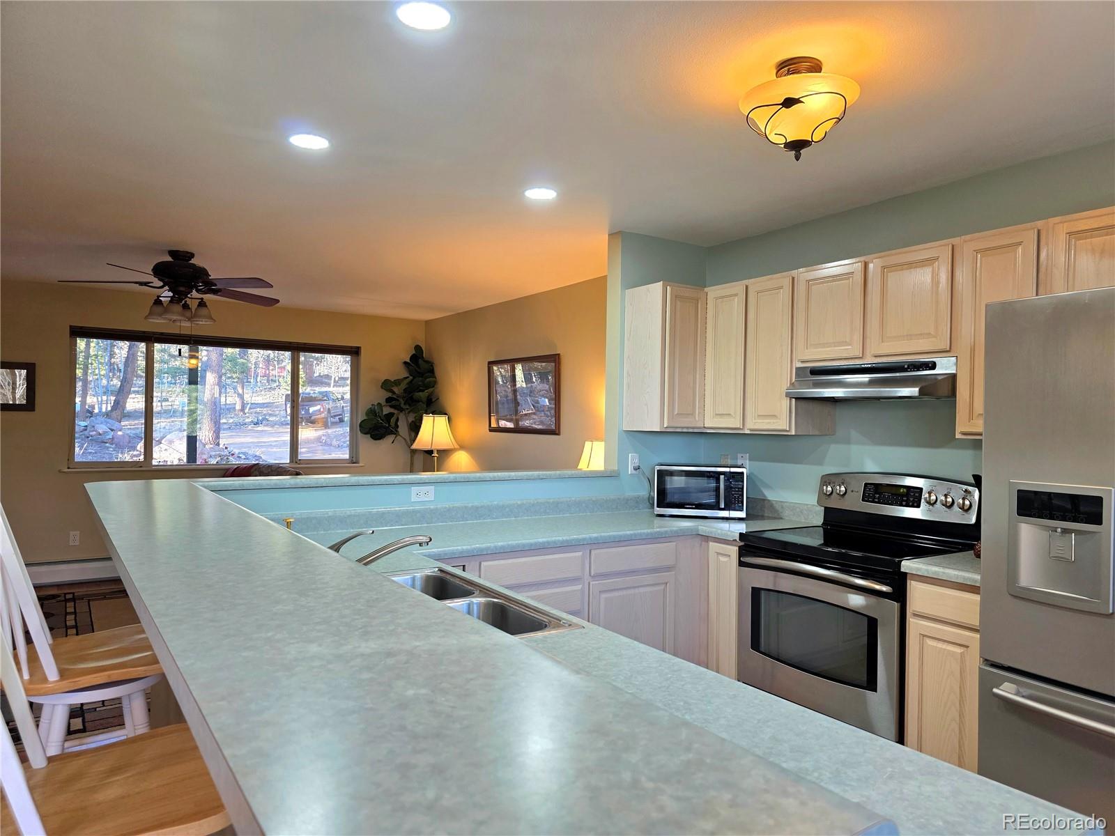 2063 Vagabond Creek Drive Lake George CO 80827