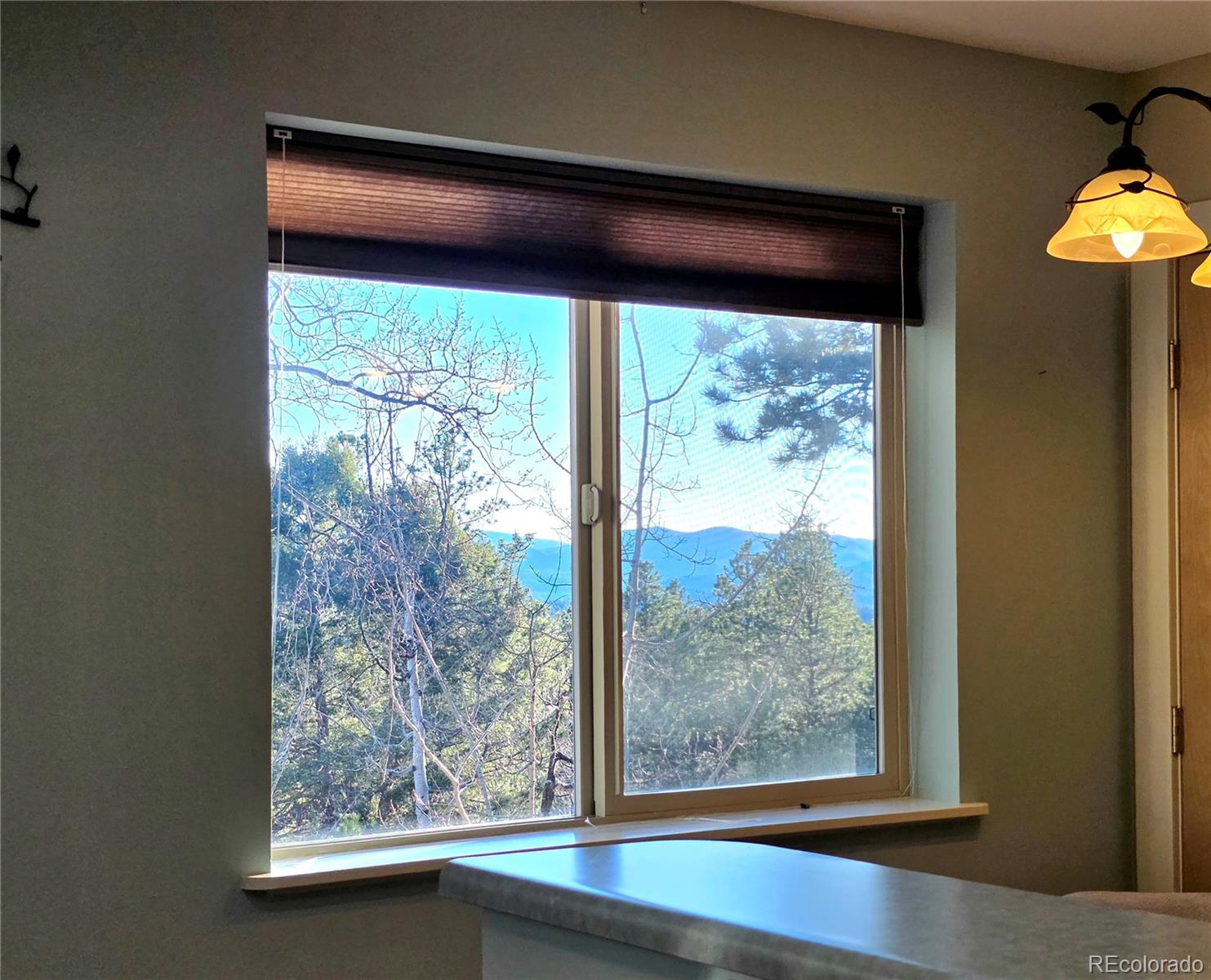 2063 Vagabond Creek Drive Lake George CO 80827