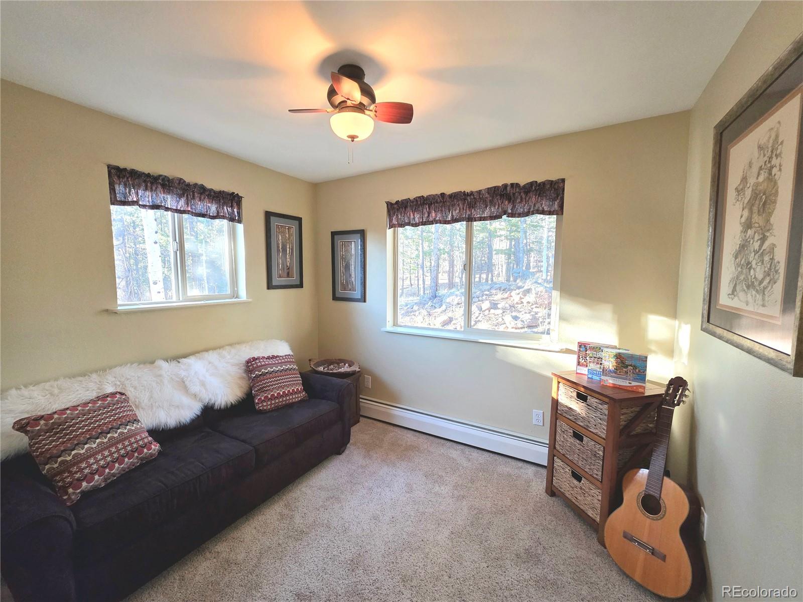 2063 Vagabond Creek Drive Lake George CO 80827
