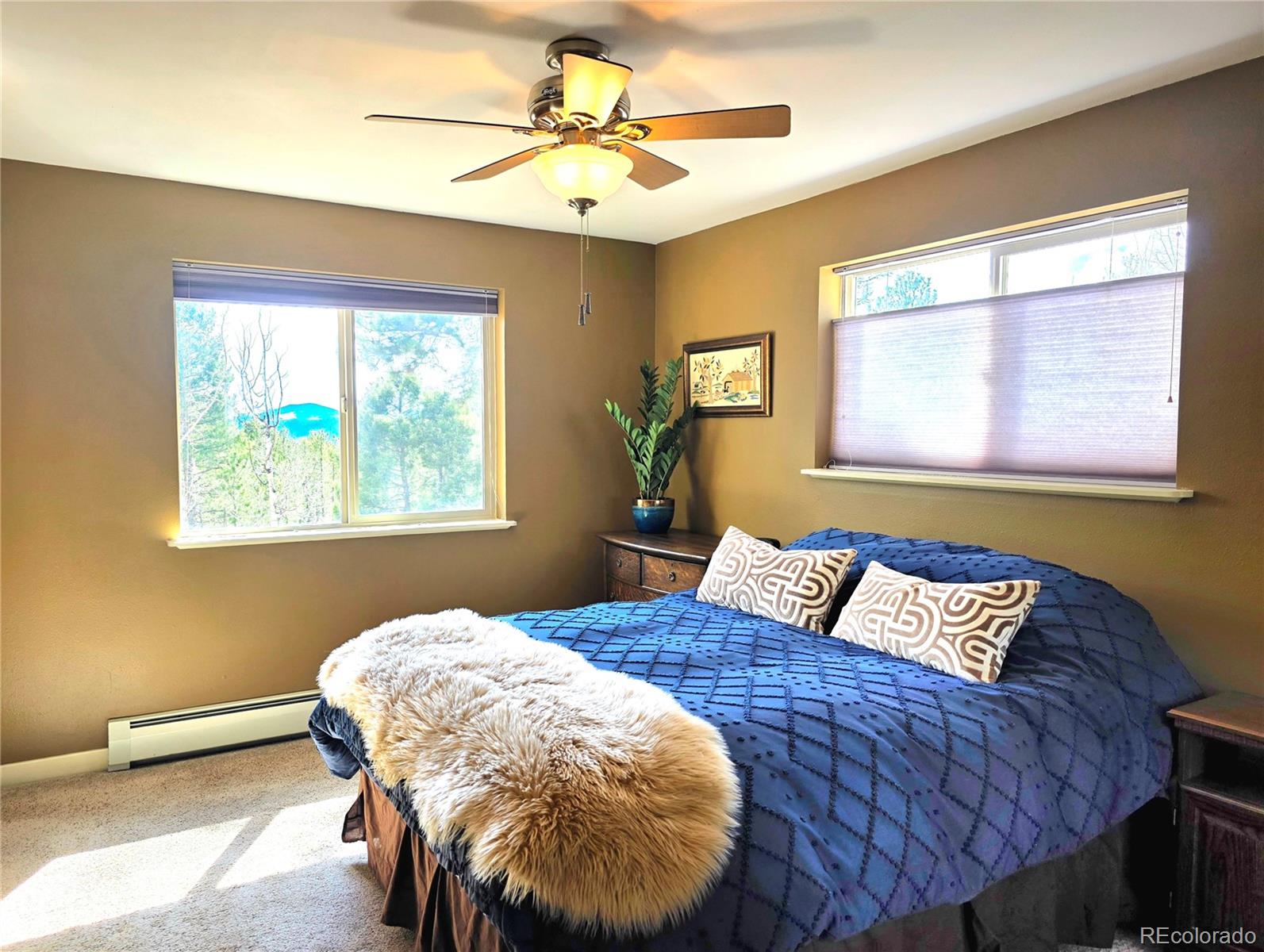 2063 Vagabond Creek Drive Lake George CO 80827