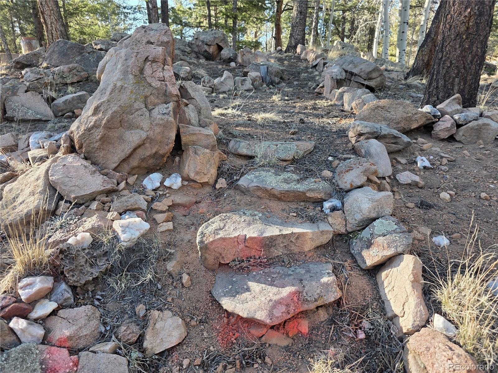 2063 Vagabond Creek Drive Lake George CO 80827