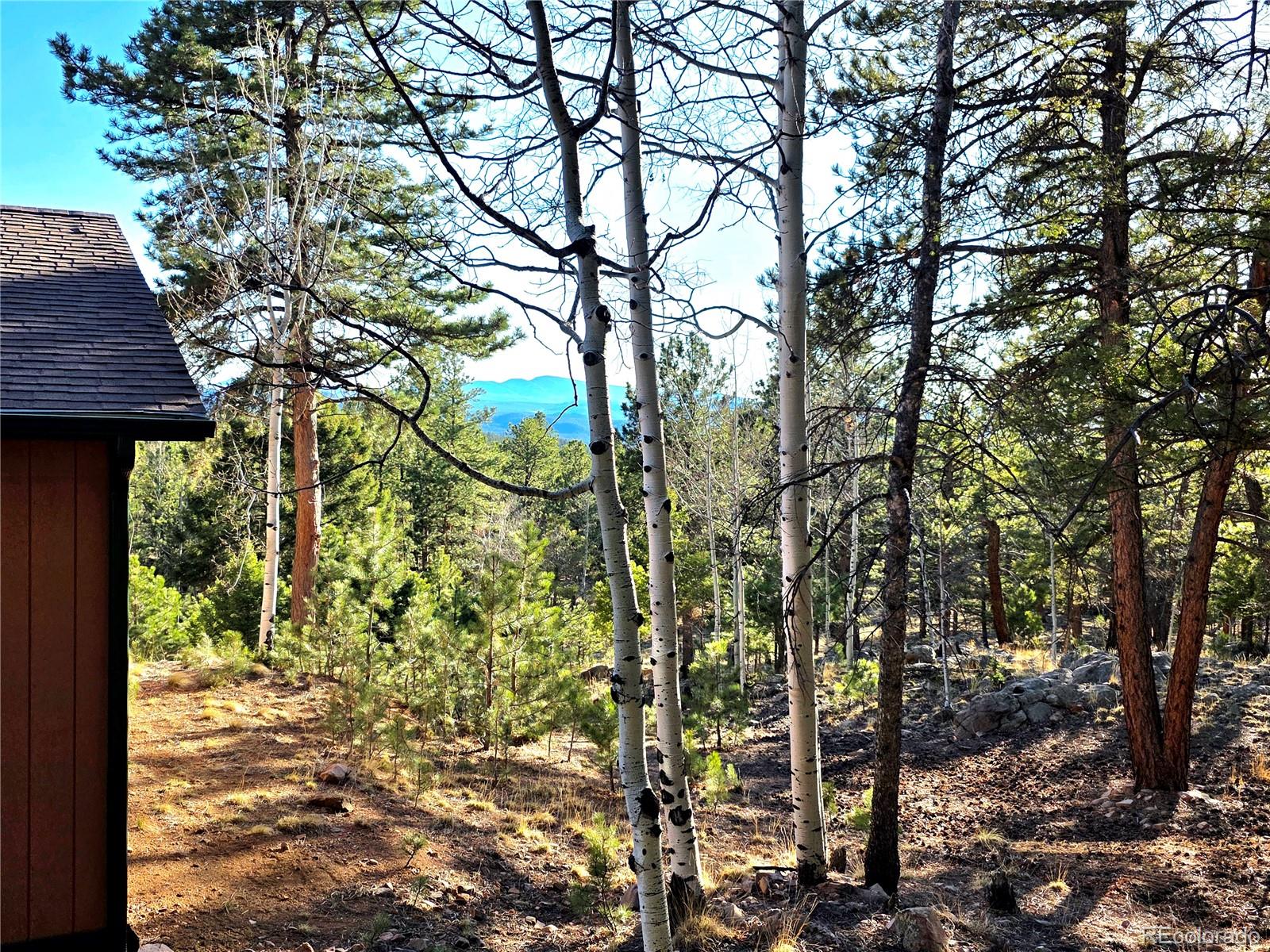 2063 Vagabond Creek Drive Lake George CO 80827
