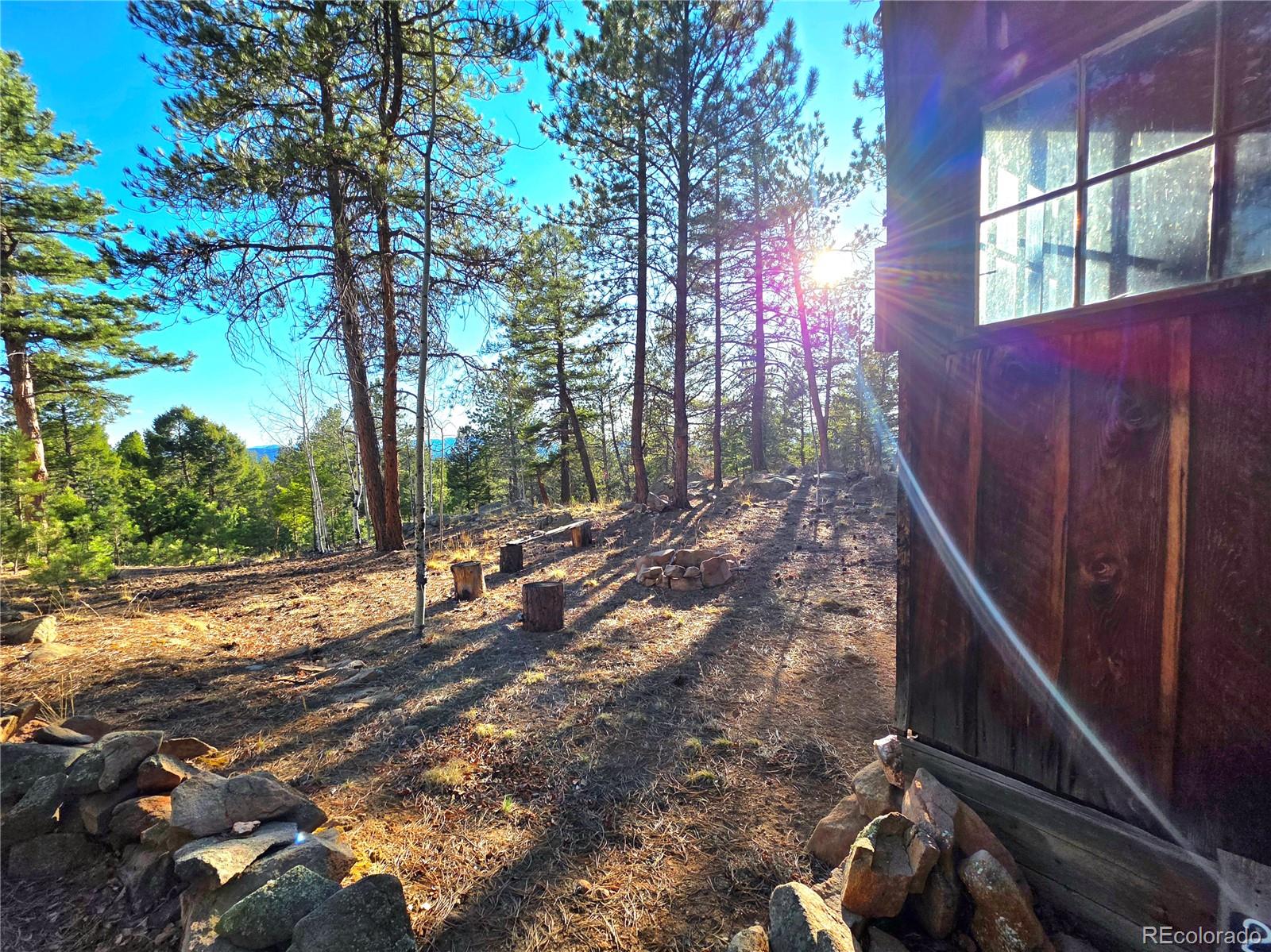 2063 Vagabond Creek Drive Lake George CO 80827
