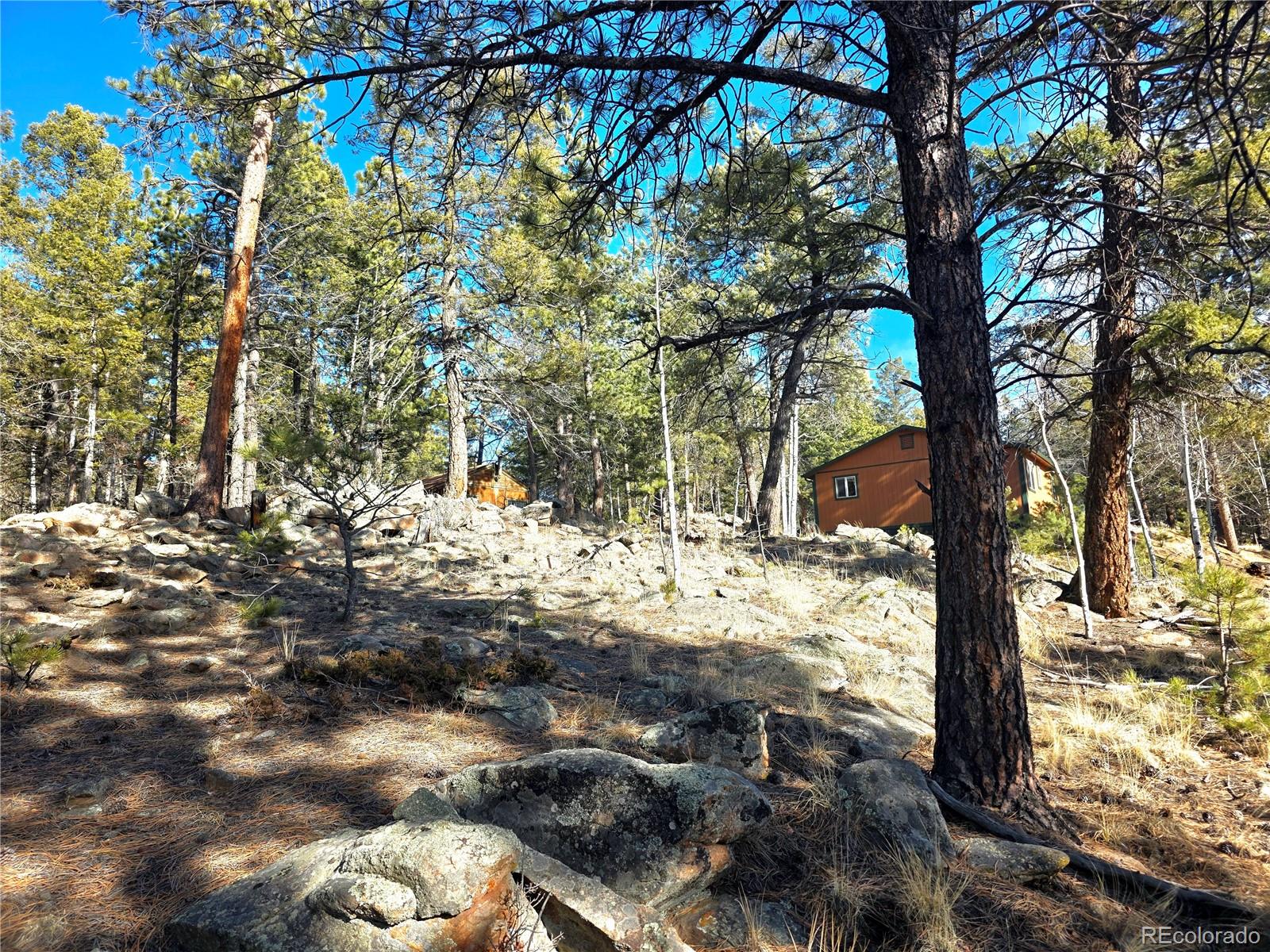 2063 Vagabond Creek Drive Lake George CO 80827
