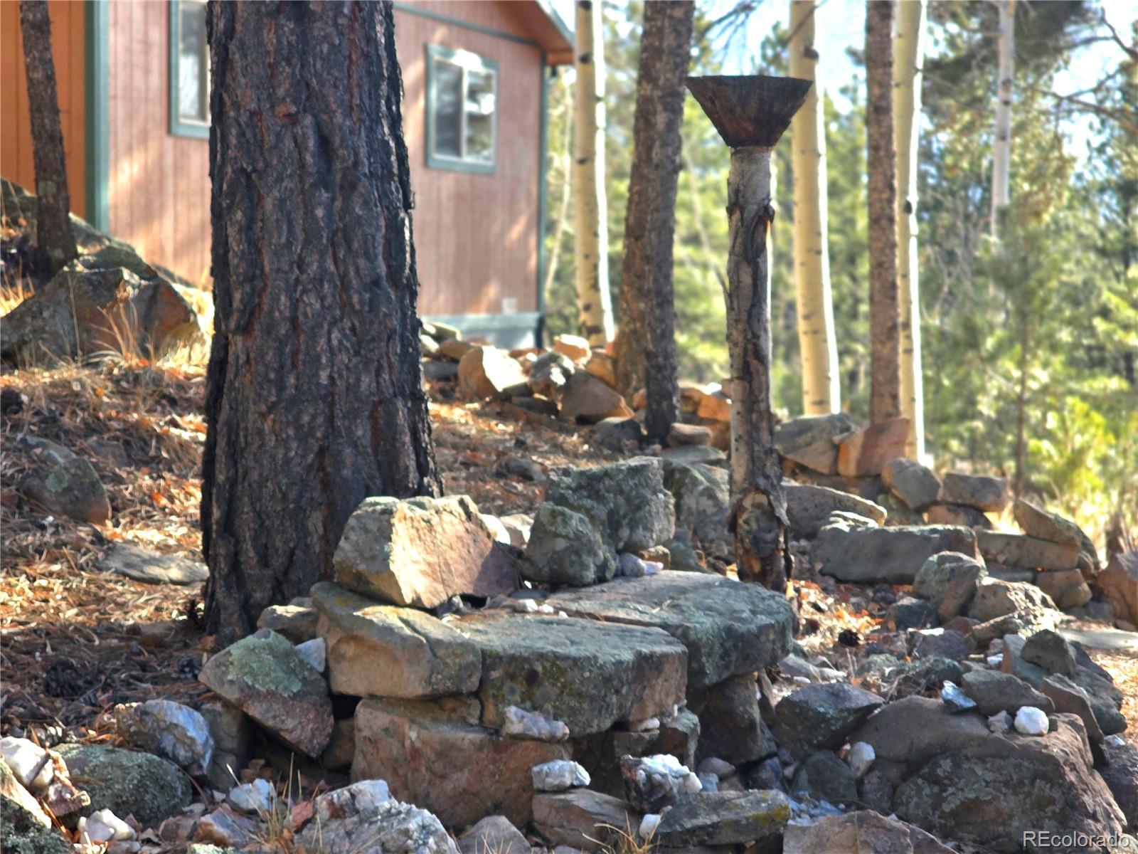 2063 Vagabond Creek Drive Lake George CO 80827