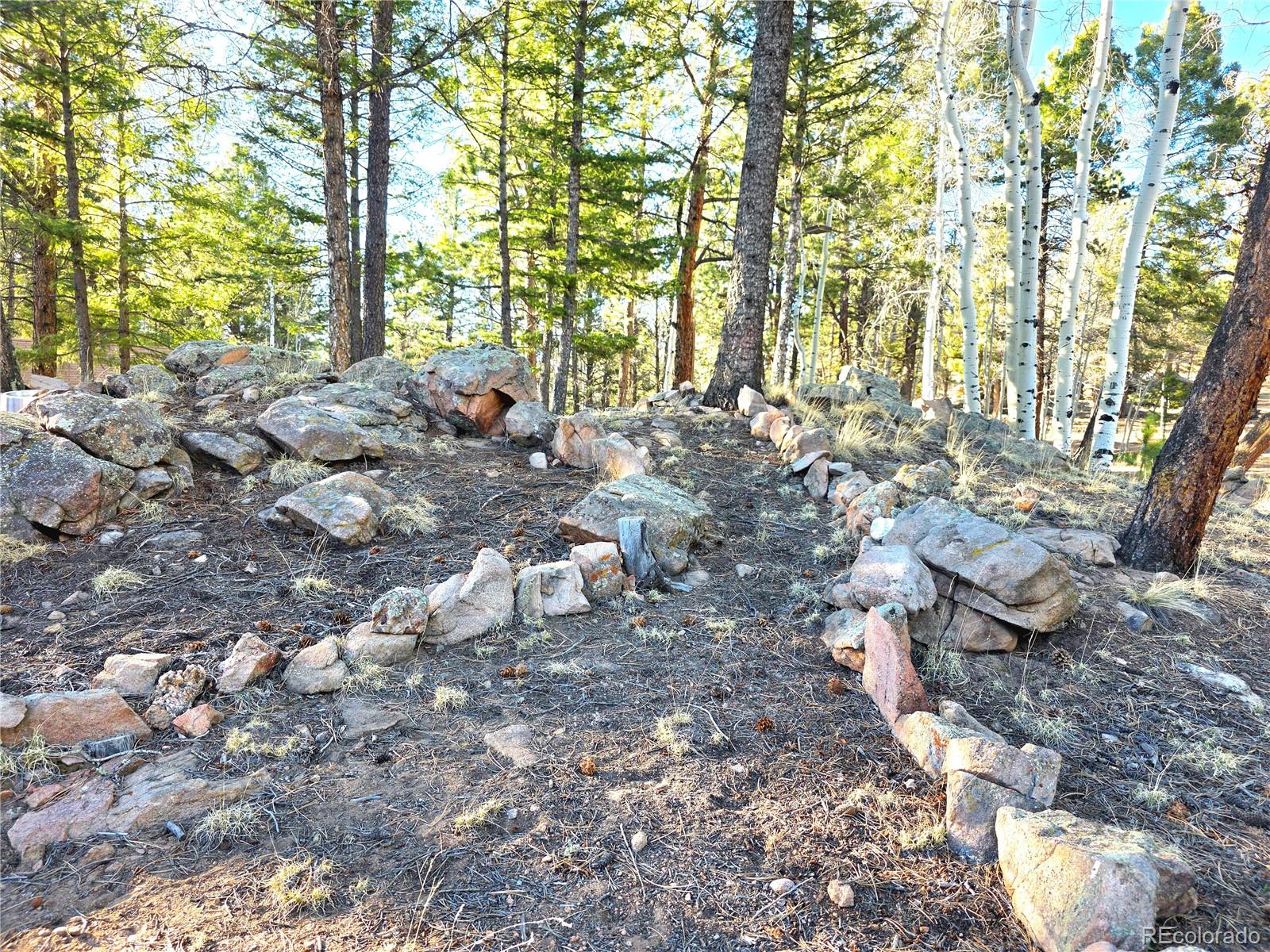 2063 Vagabond Creek Drive Lake George CO 80827