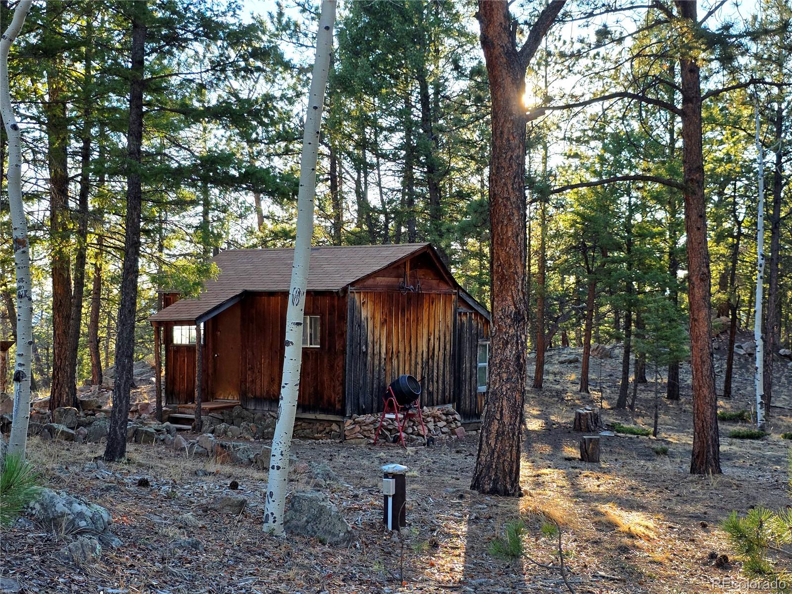 2063 Vagabond Creek Drive Lake George CO 80827