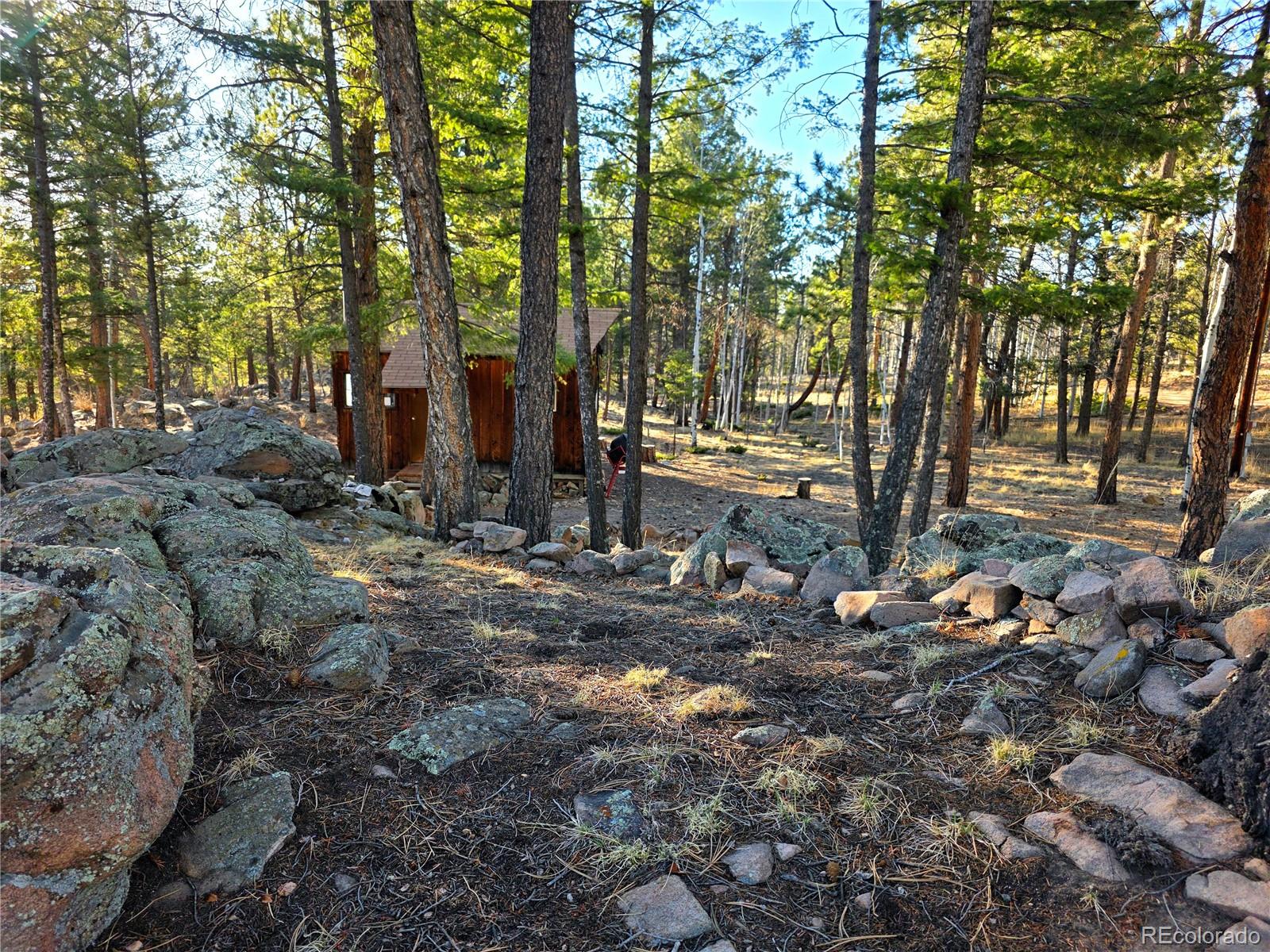 2063 Vagabond Creek Drive Lake George CO 80827