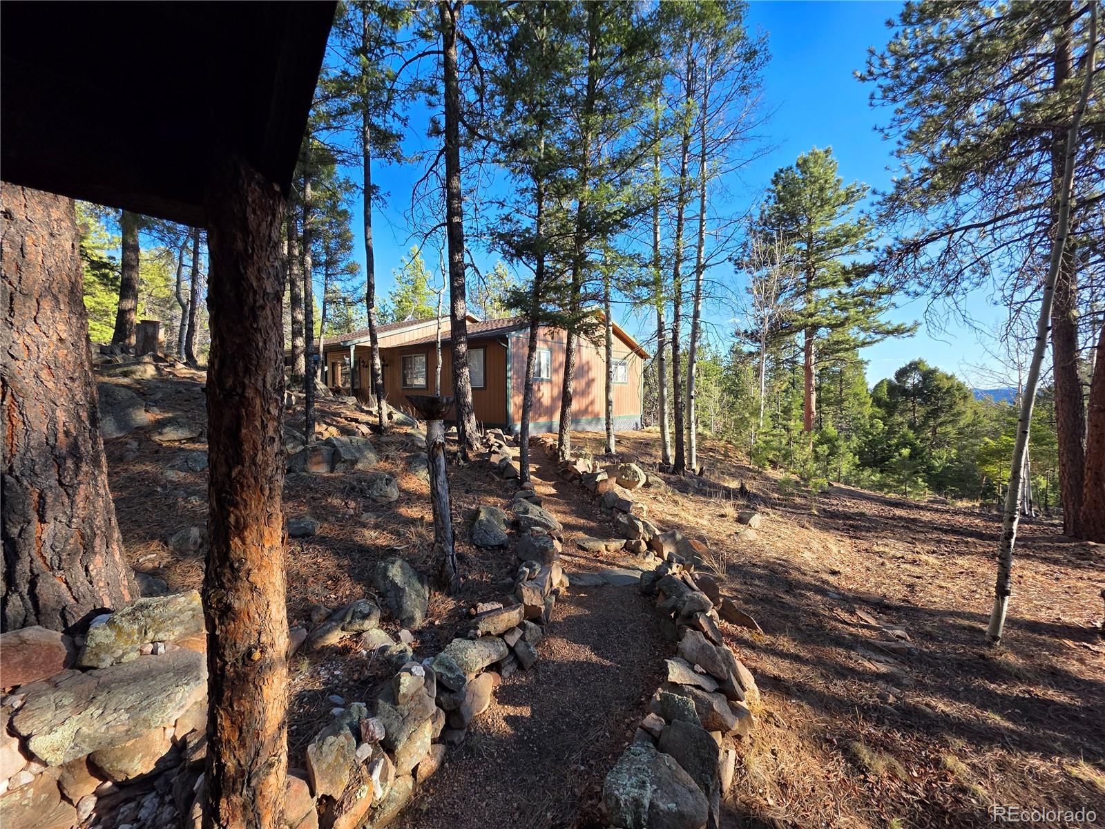 2063 Vagabond Creek Drive Lake George CO 80827