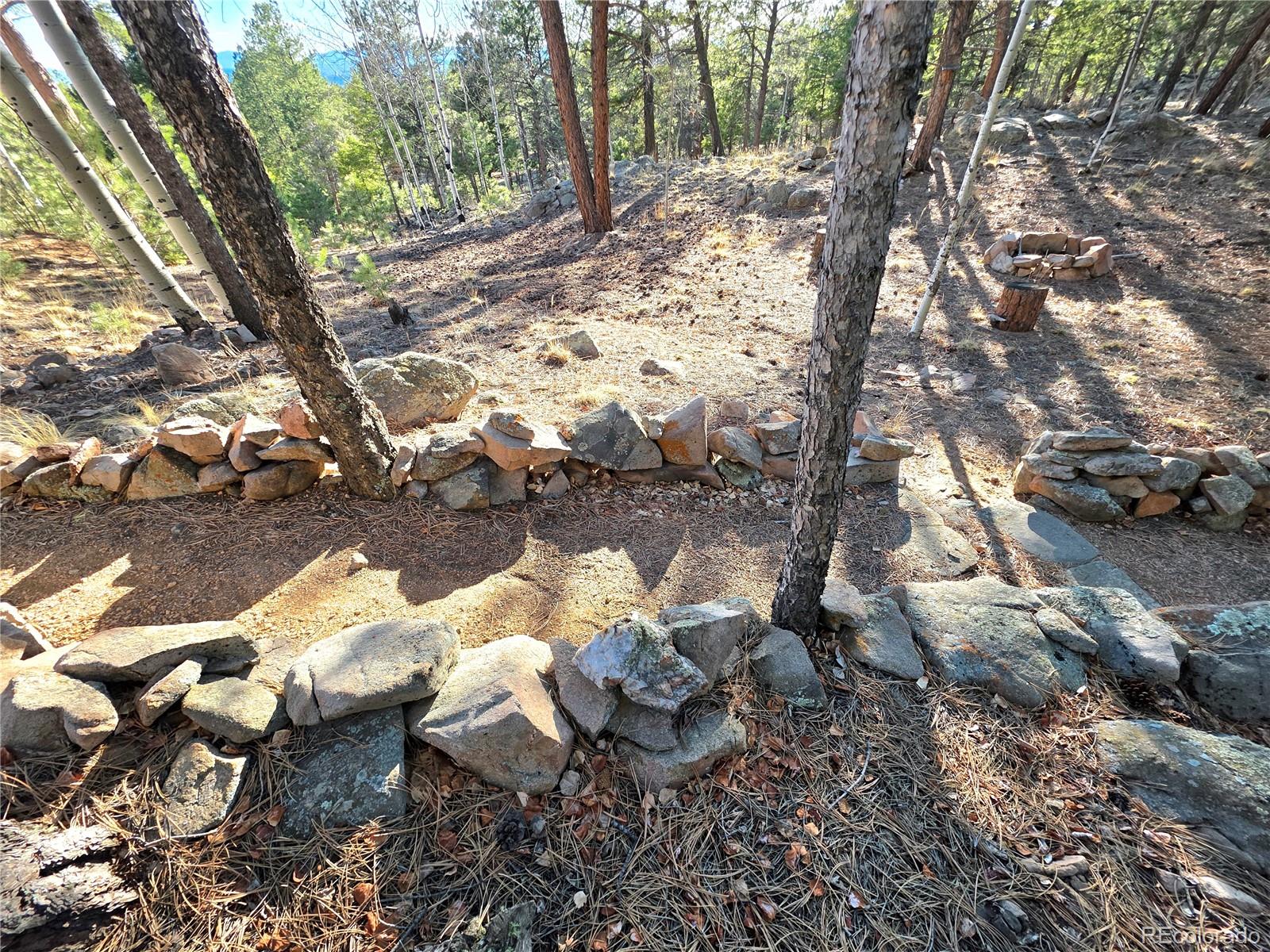 2063 Vagabond Creek Drive Lake George CO 80827