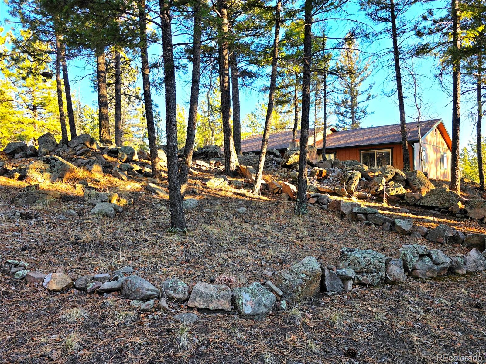 2063 Vagabond Creek Drive Lake George CO 80827